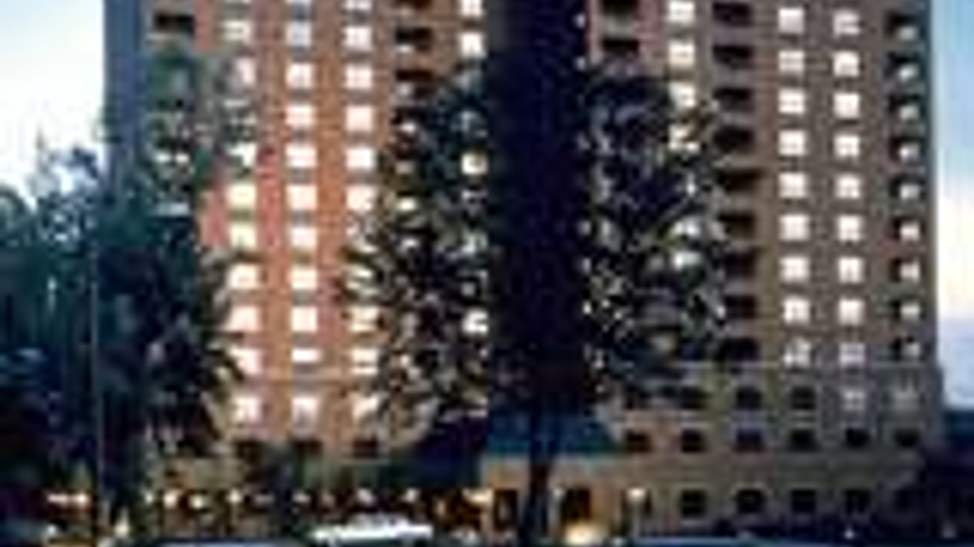 System.Collections.Generic.List`1[AFS.Common.Models.Photo] - Image 1