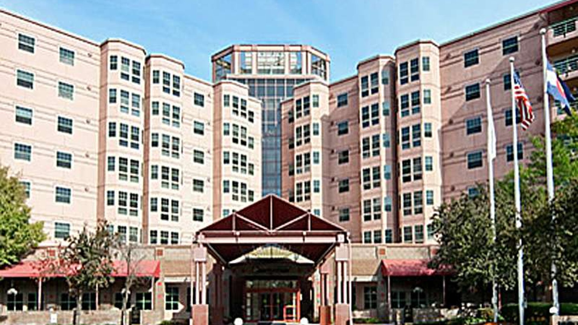 System.Collections.Generic.List`1[AFS.Common.Models.Photo] - Image 1