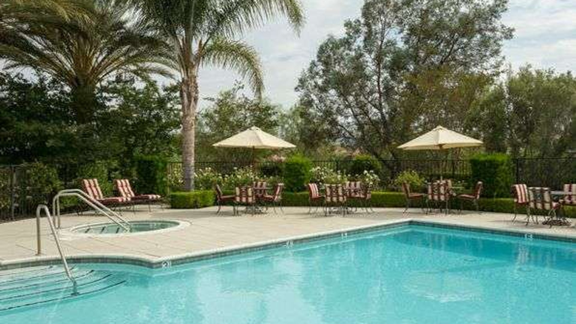 System.Collections.Generic.List`1[AFS.Common.Models.Photo] - Image 6