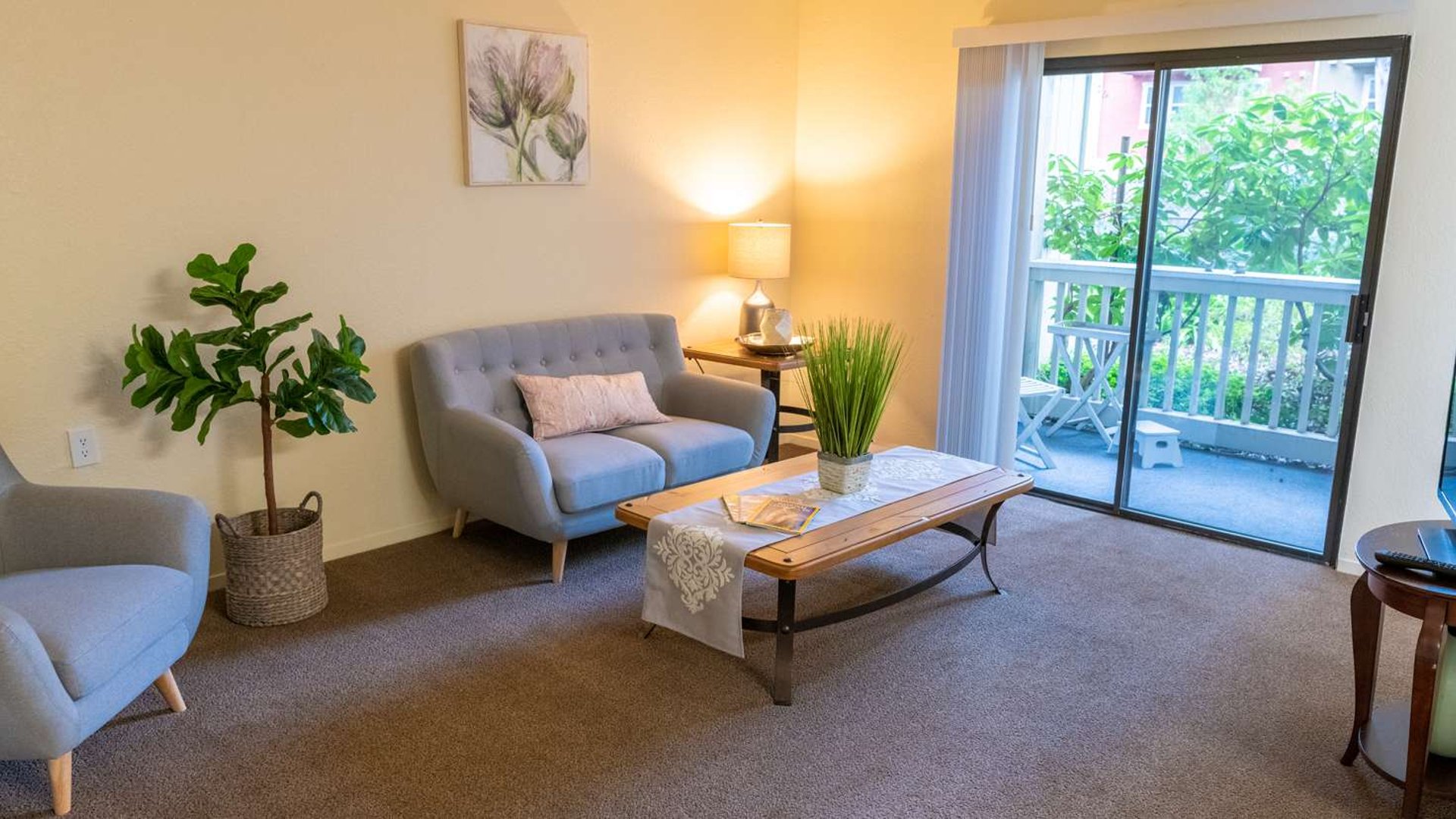 System.Collections.Generic.List`1[AFS.Common.Models.Photo] - Image 5