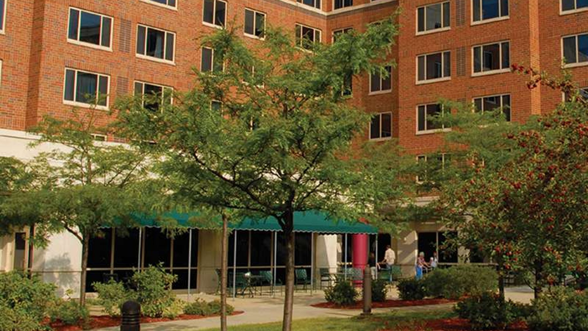 System.Collections.Generic.List`1[AFS.Common.Models.Photo] - Image 1