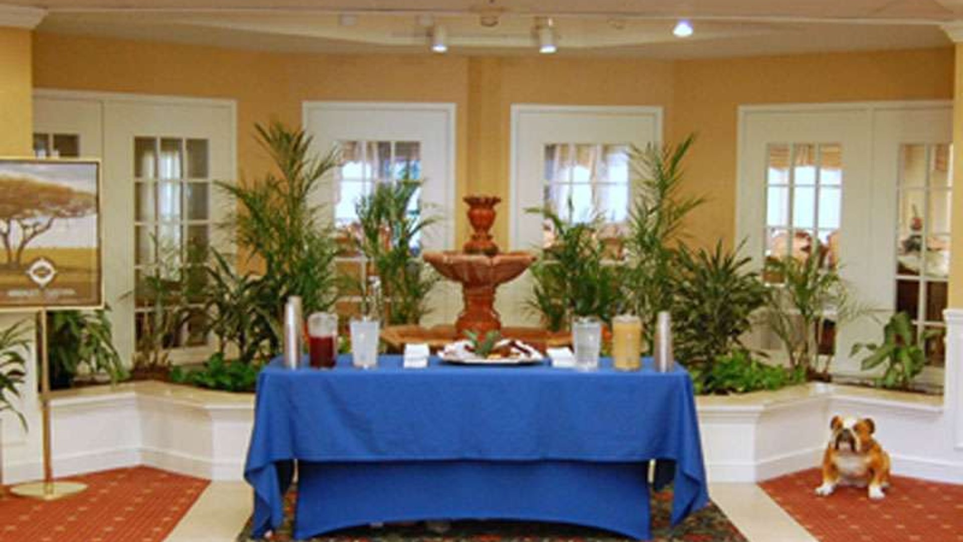 System.Collections.Generic.List`1[AFS.Common.Models.Photo] - Image 4