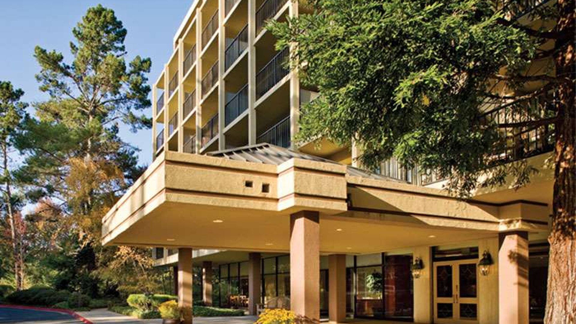 System.Collections.Generic.List`1[AFS.Common.Models.Photo] - Image 1