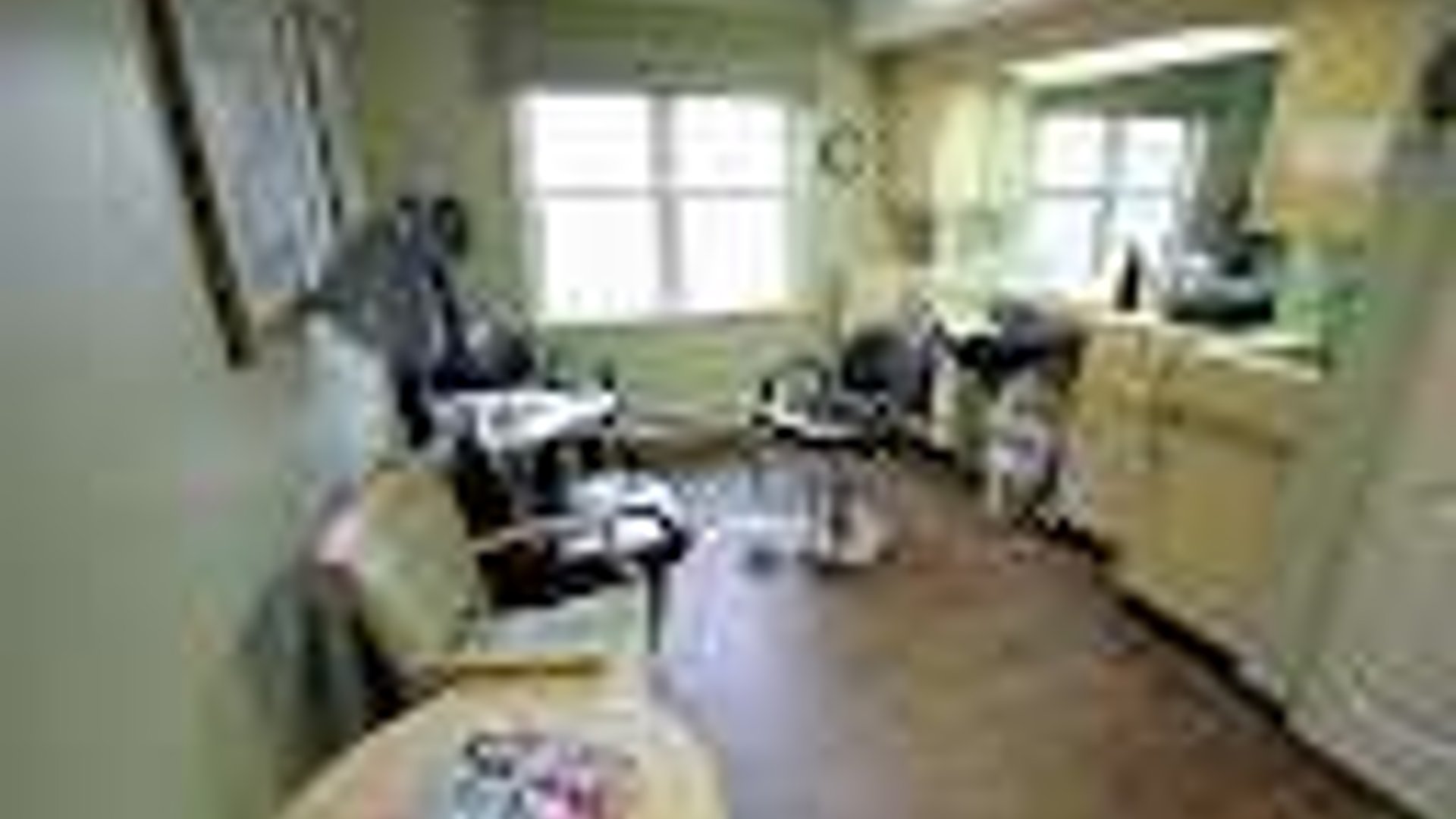 System.Collections.Generic.List`1[AFS.Common.Models.Photo] - Image 4