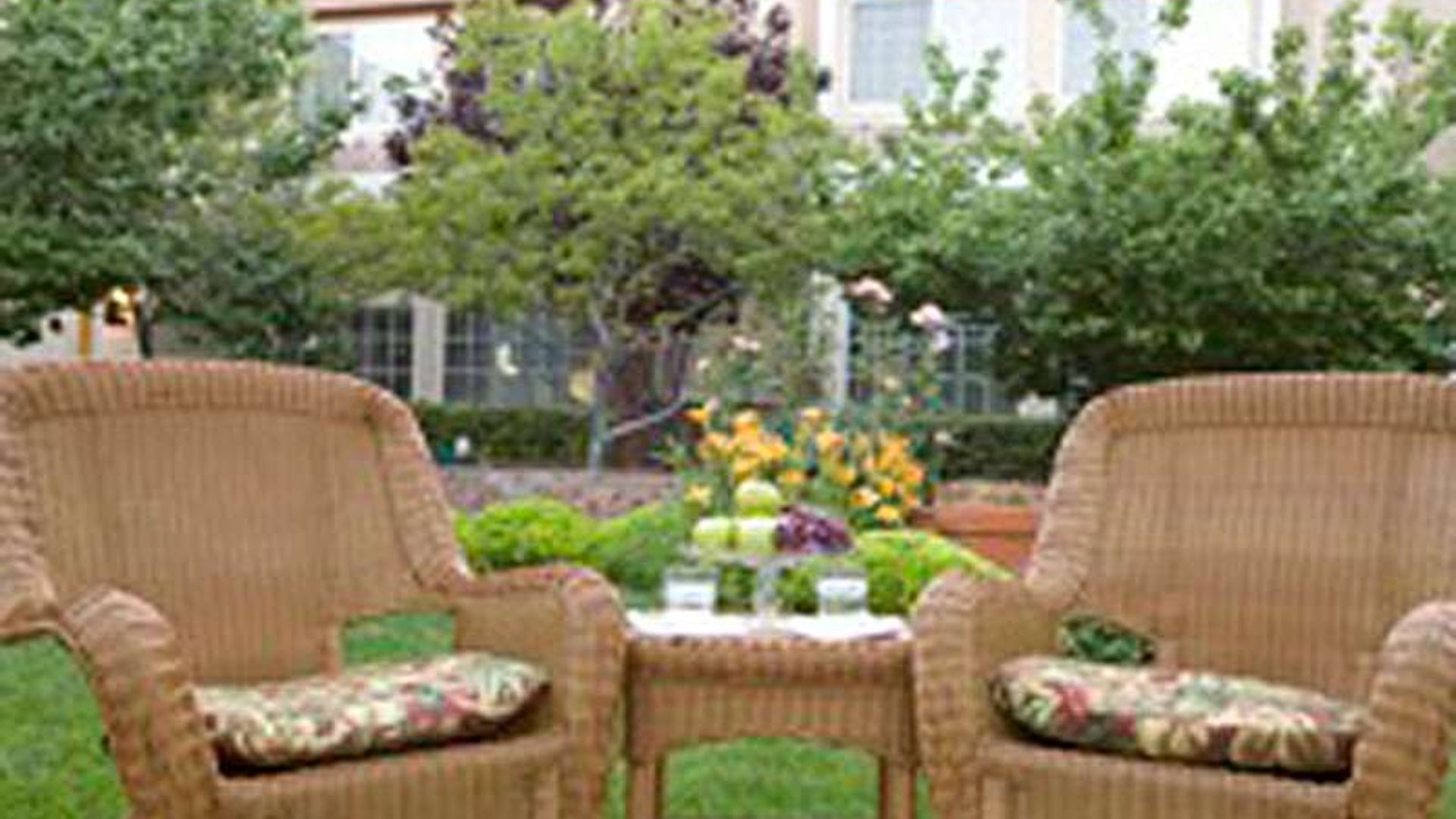 System.Collections.Generic.List`1[AFS.Common.Models.Photo] - Image 3