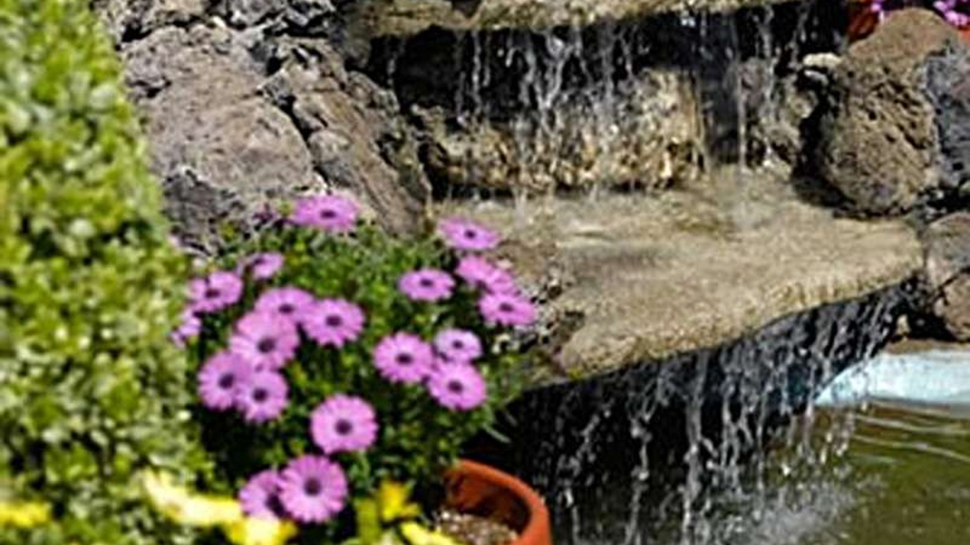 System.Collections.Generic.List`1[AFS.Common.Models.Photo] - Image 2