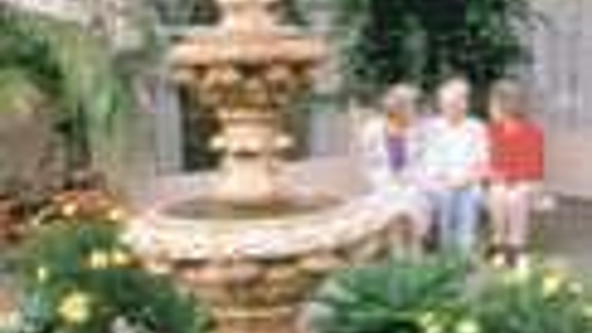 System.Collections.Generic.List`1[AFS.Common.Models.Photo] - Image 1