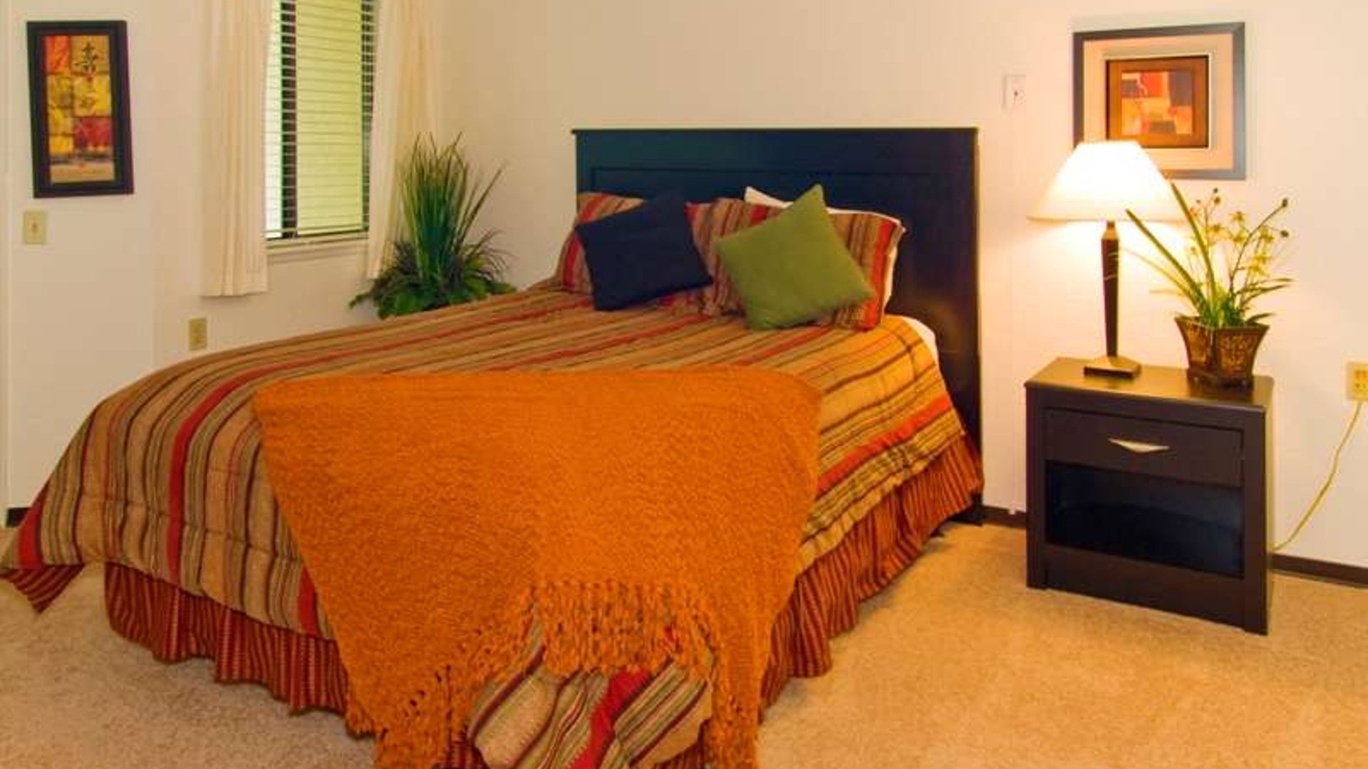 System.Collections.Generic.List`1[AFS.Common.Models.Photo] - Image 5