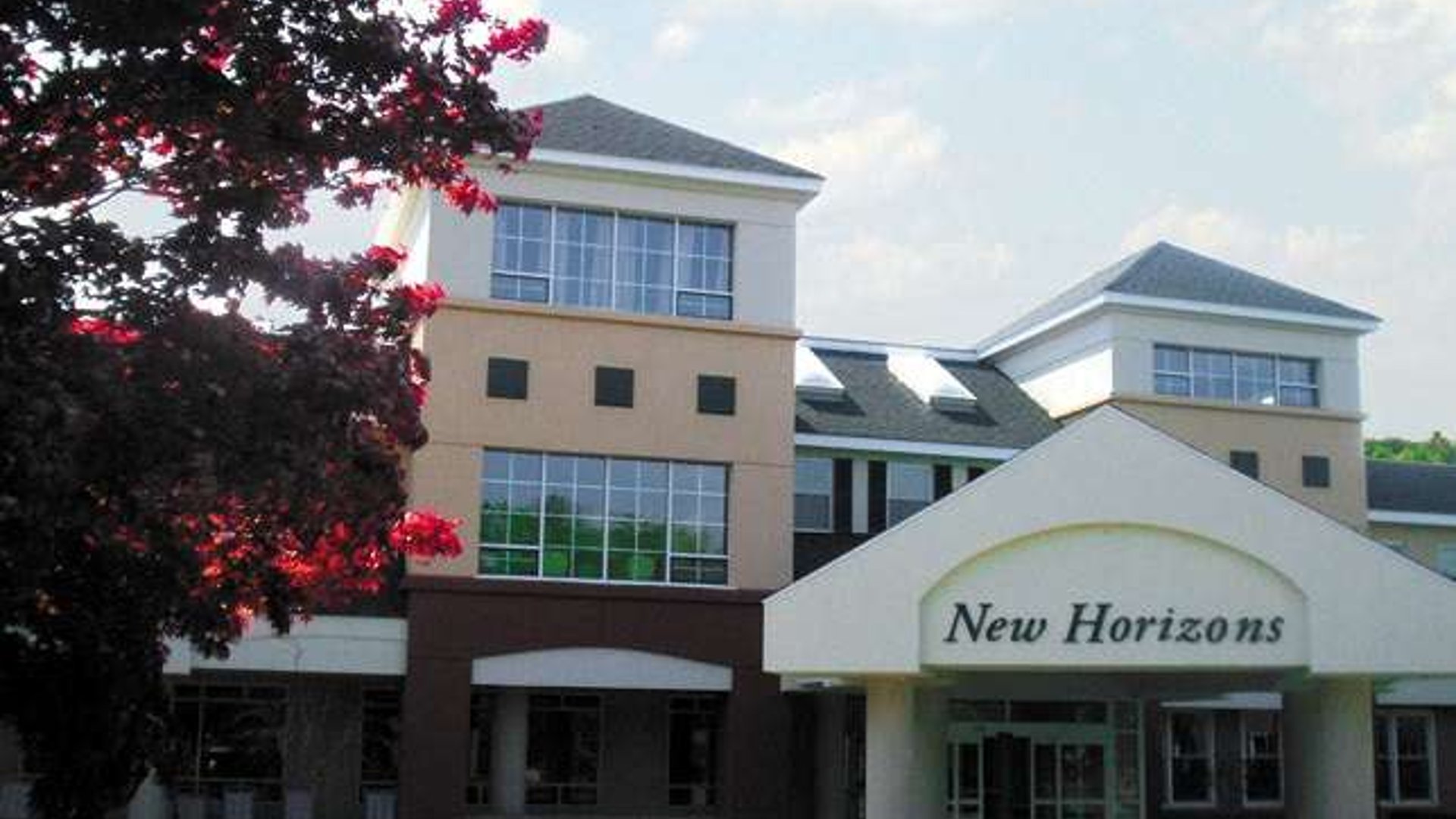 System.Collections.Generic.List`1[AFS.Common.Models.Photo] - Image 1