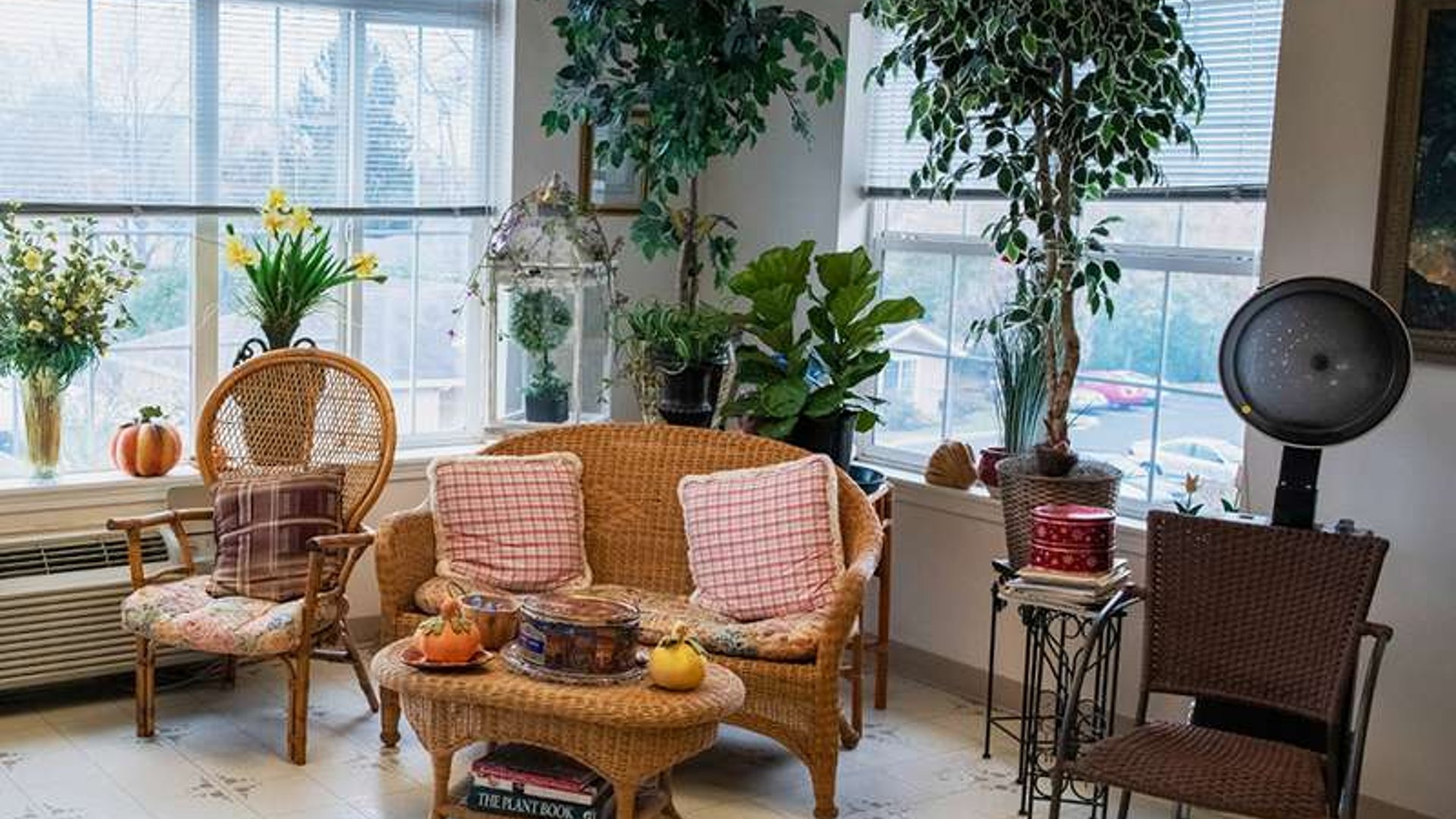 System.Collections.Generic.List`1[AFS.Common.Models.Photo] - Image 6