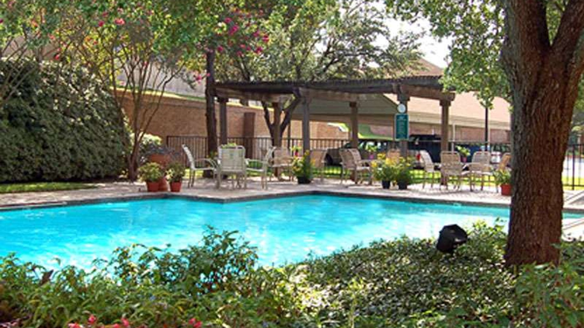 System.Collections.Generic.List`1[AFS.Common.Models.Photo] - Image 2