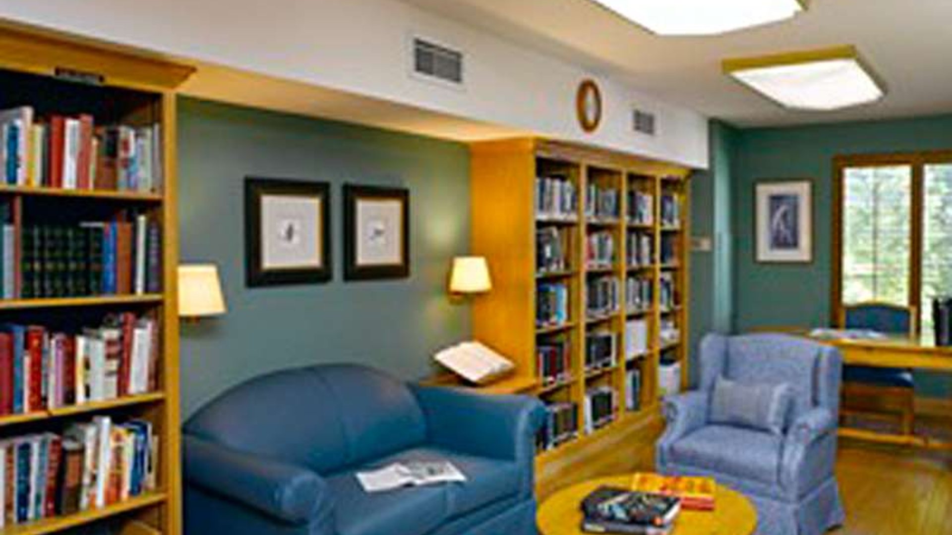 System.Collections.Generic.List`1[AFS.Common.Models.Photo] - Image 3