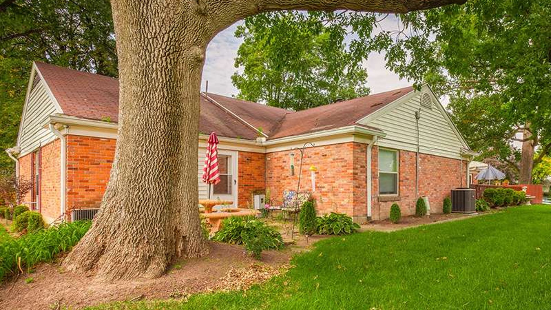 System.Collections.Generic.List`1[AFS.Common.Models.Photo] - Image 1