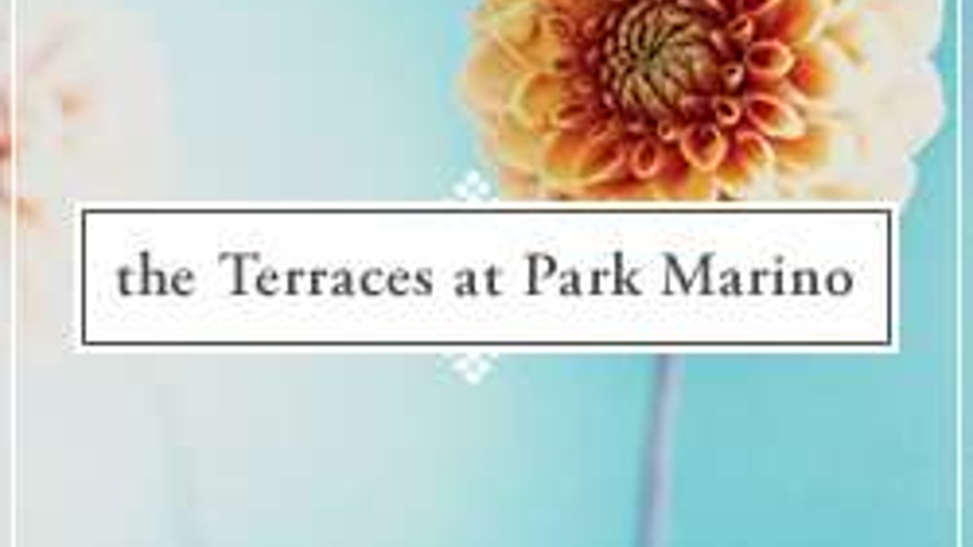 System.Collections.Generic.List`1[AFS.Common.Models.Photo] - Image 1