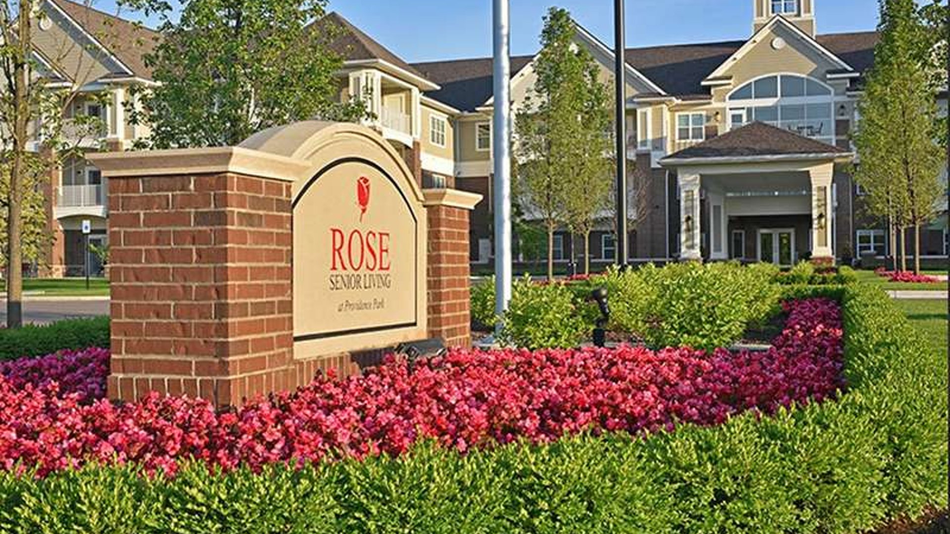 System.Collections.Generic.List`1[AFS.Common.Models.Photo] - Image 1