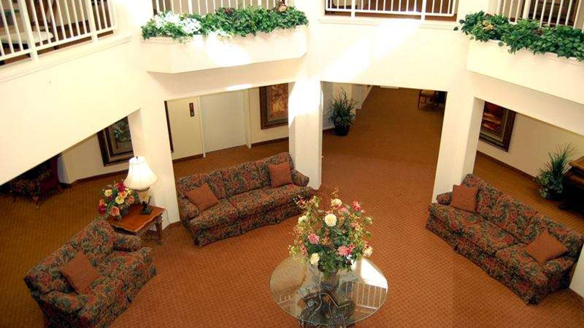 System.Collections.Generic.List`1[AFS.Common.Models.Photo] - Image 2