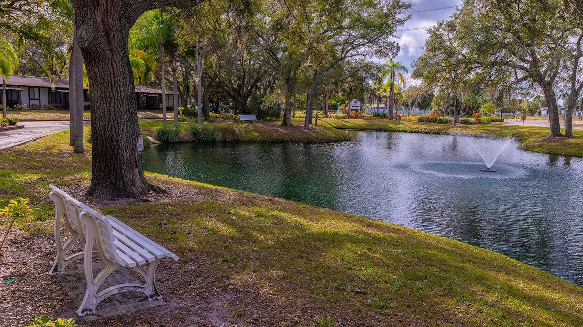 System.Collections.Generic.List`1[AFS.Common.Models.Photo] - Image 6