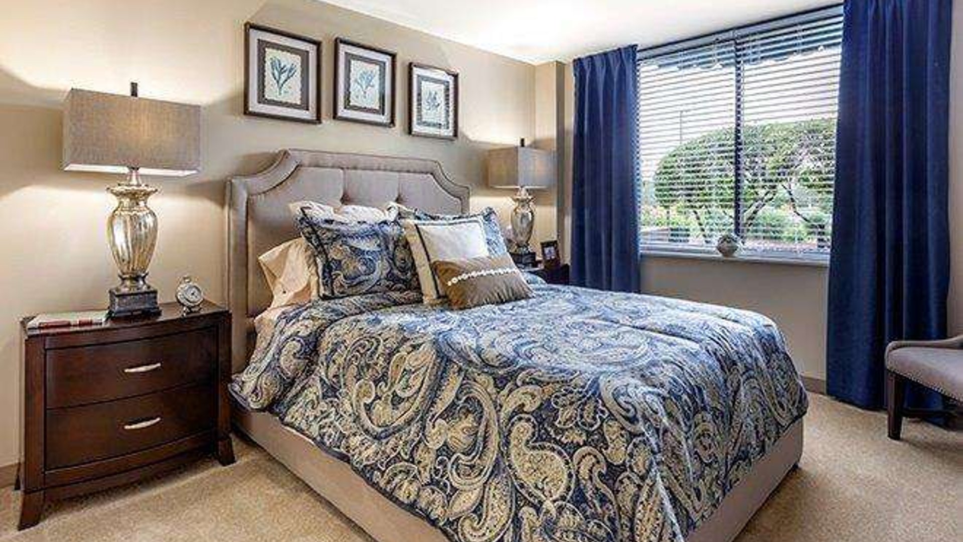 System.Collections.Generic.List`1[AFS.Common.Models.Photo] - Image 6