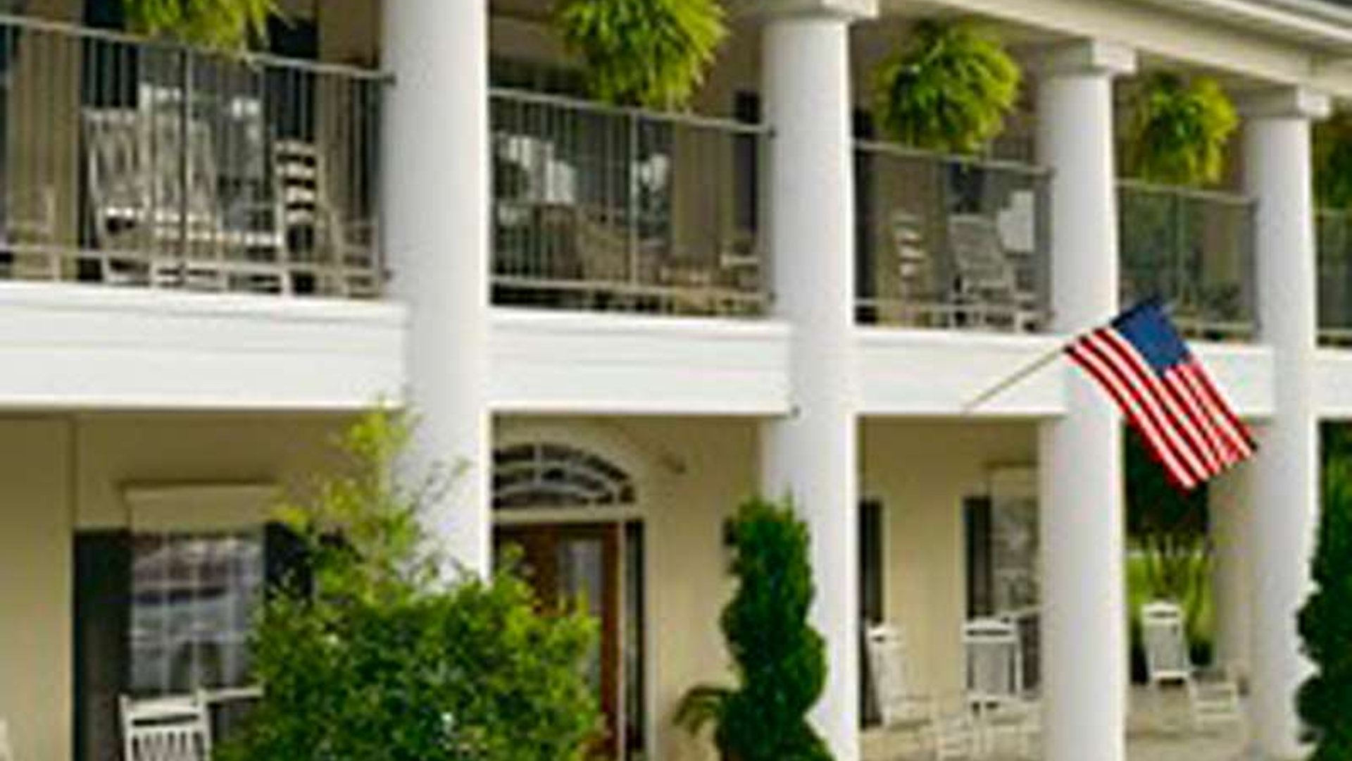 System.Collections.Generic.List`1[AFS.Common.Models.Photo] - Image 1