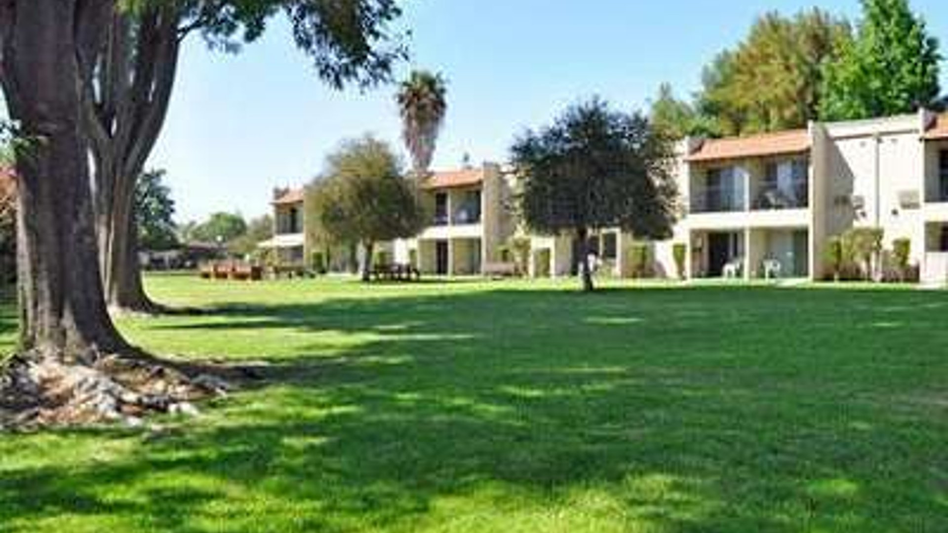 System.Collections.Generic.List`1[AFS.Common.Models.Photo] - Image 1