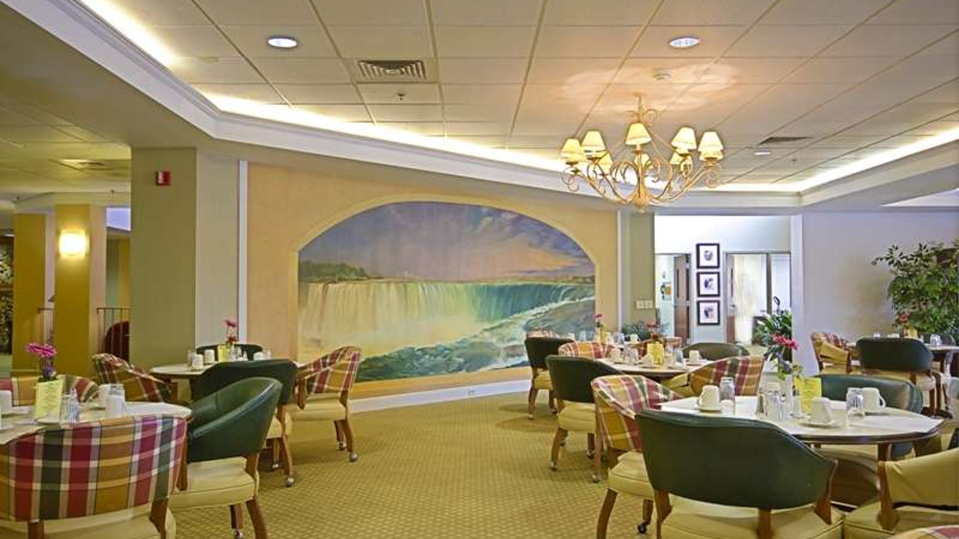 System.Collections.Generic.List`1[AFS.Common.Models.Photo] - Image 3