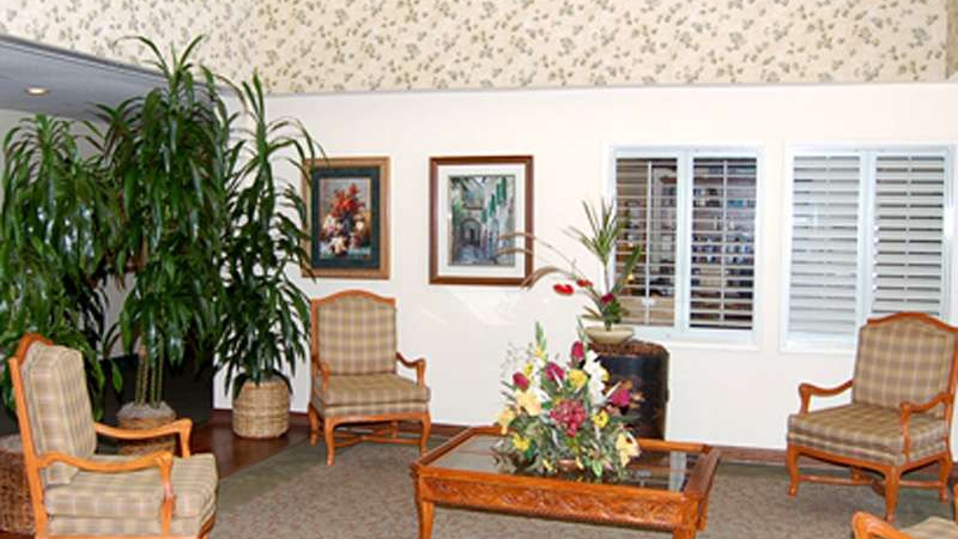 System.Collections.Generic.List`1[AFS.Common.Models.Photo] - Image 3