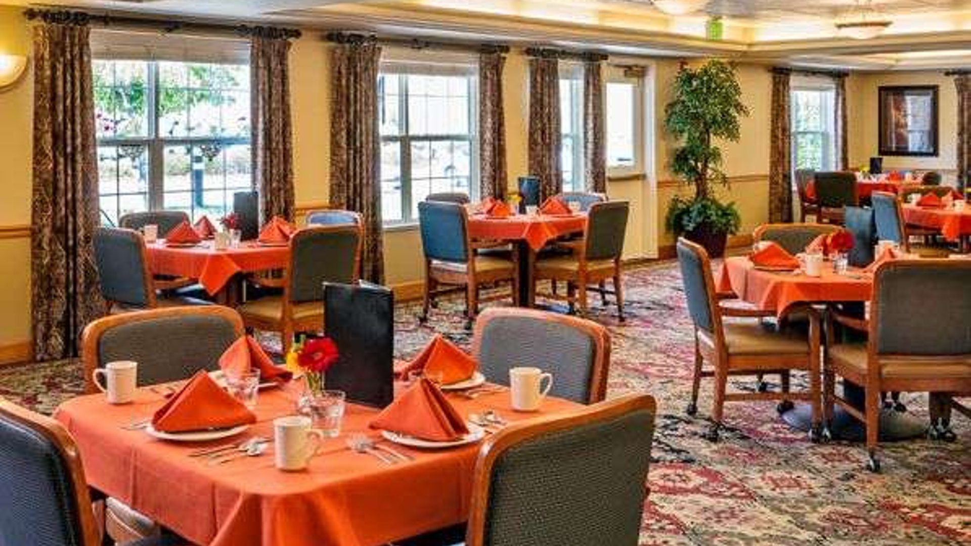 System.Collections.Generic.List`1[AFS.Common.Models.Photo] - Image 3