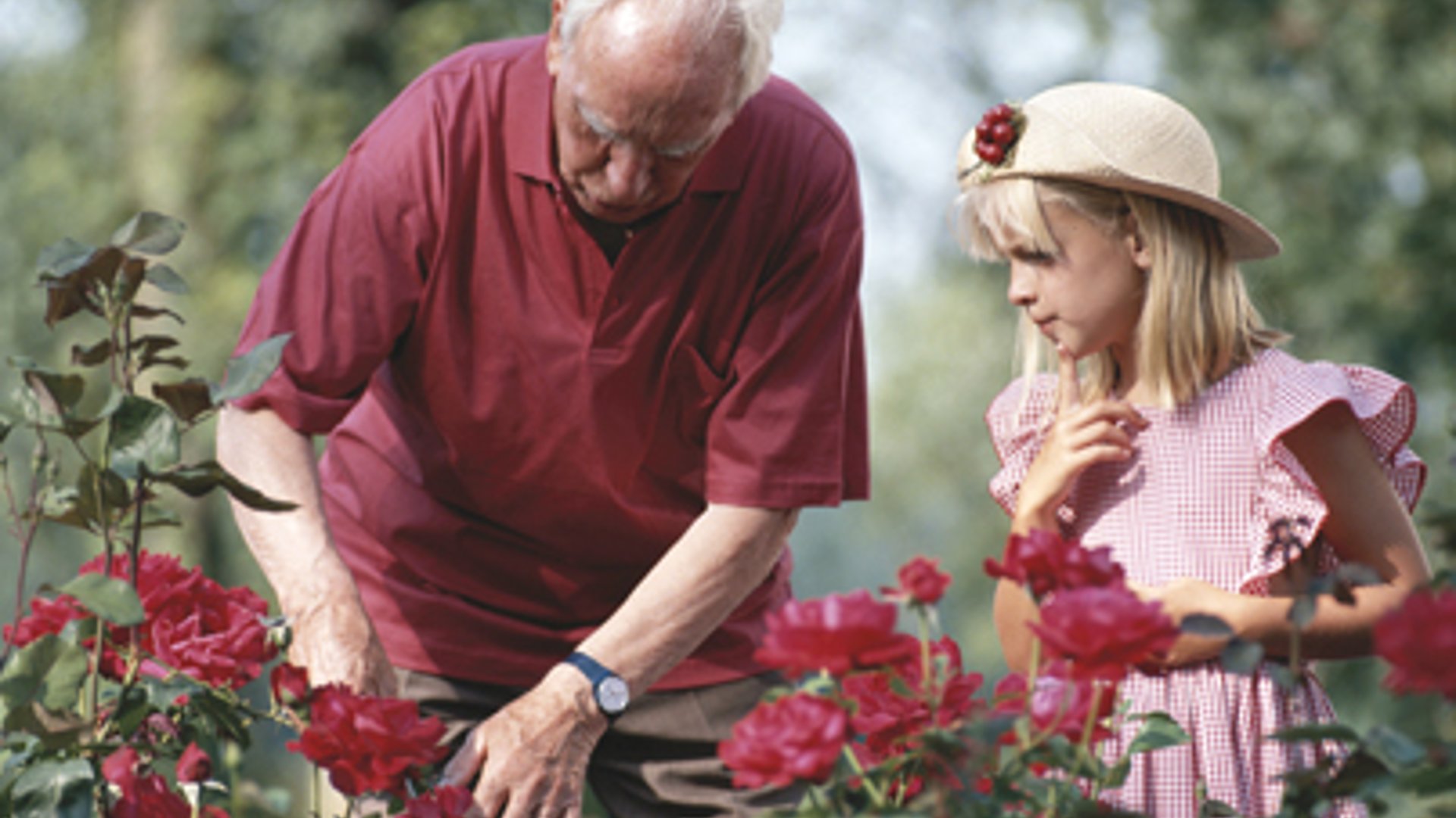 System.Collections.Generic.List`1[AFS.Common.Models.Photo] - Image 1