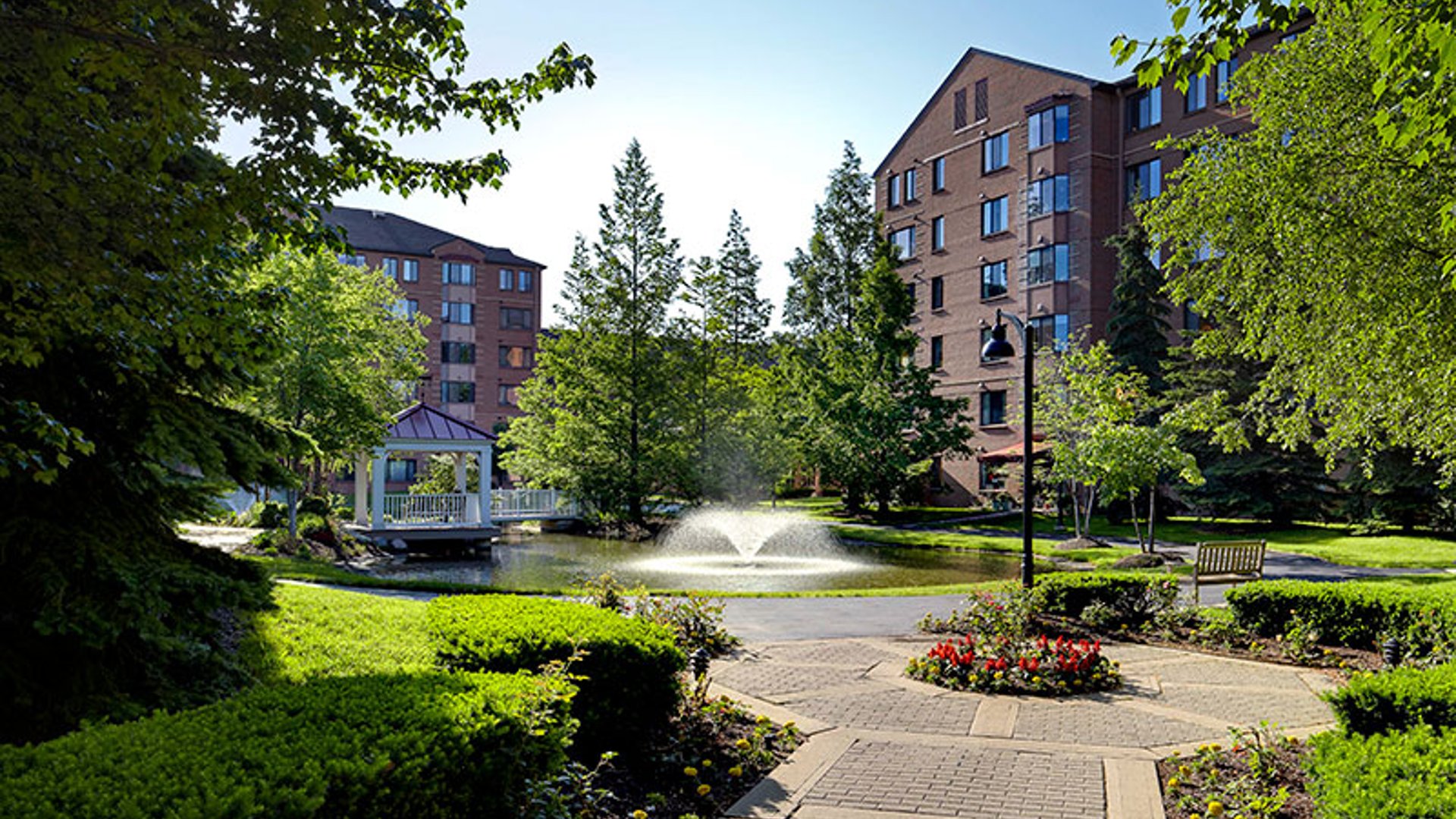 System.Collections.Generic.List`1[AFS.Common.Models.Photo] - Image 2