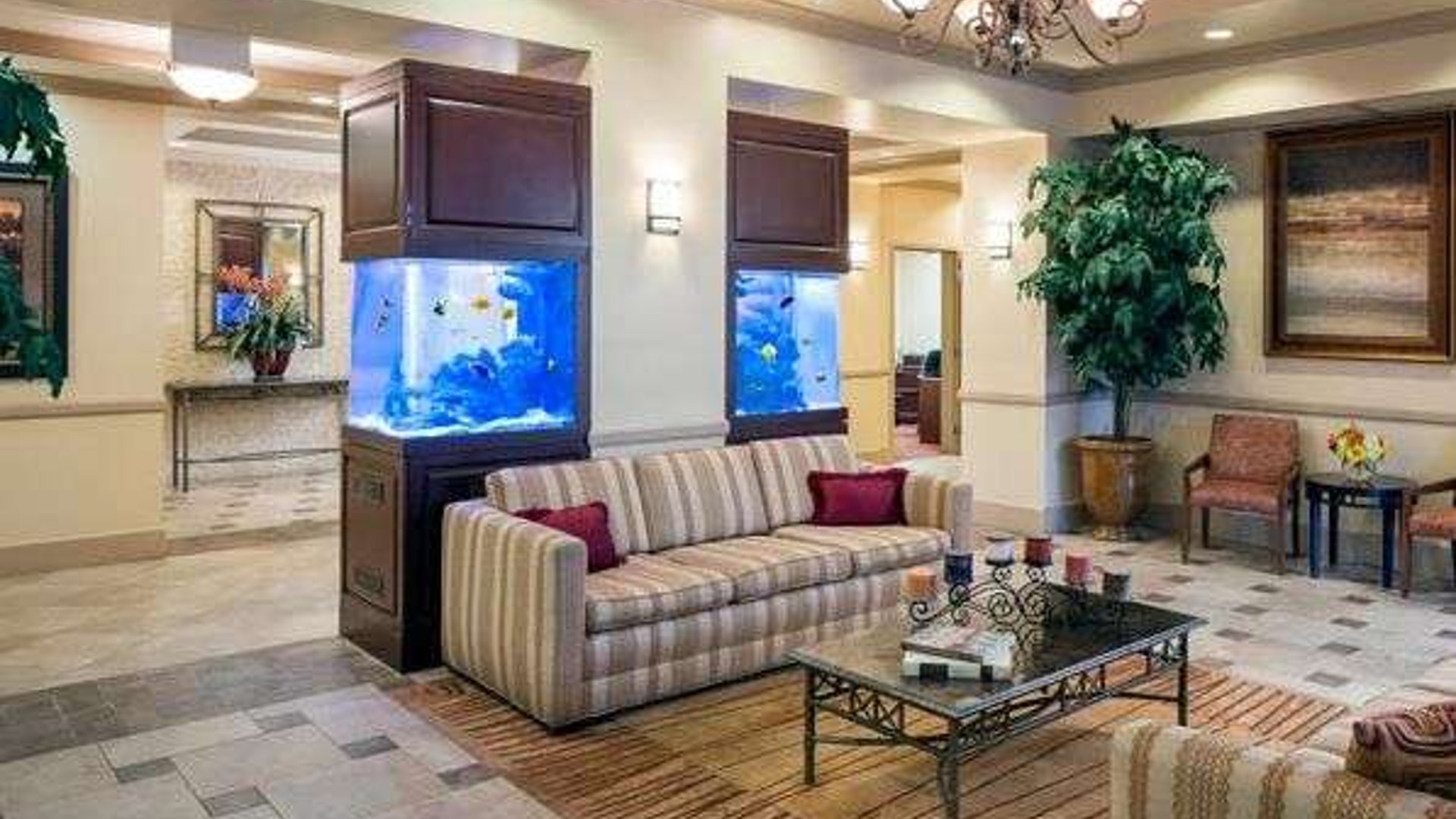 System.Collections.Generic.List`1[AFS.Common.Models.Photo] - Image 2