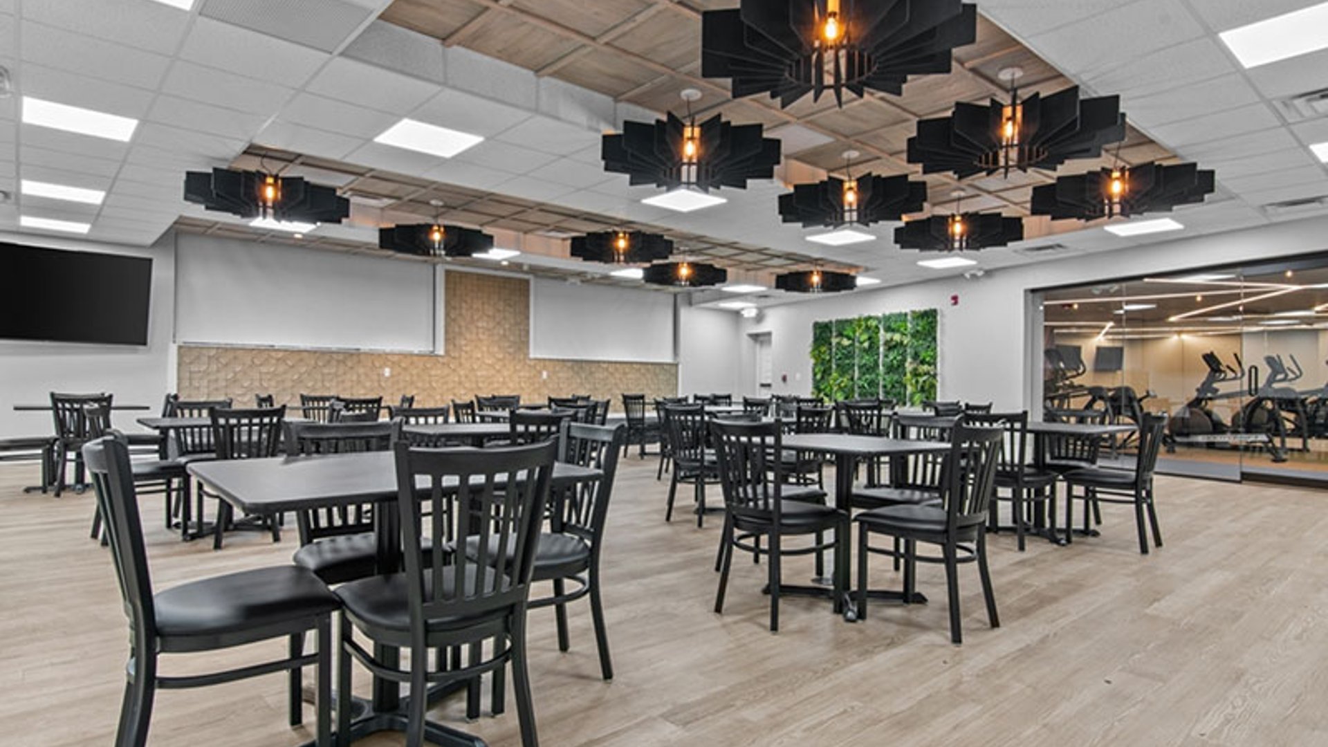 System.Collections.Generic.List`1[AFS.Common.Models.Photo] - Image 5