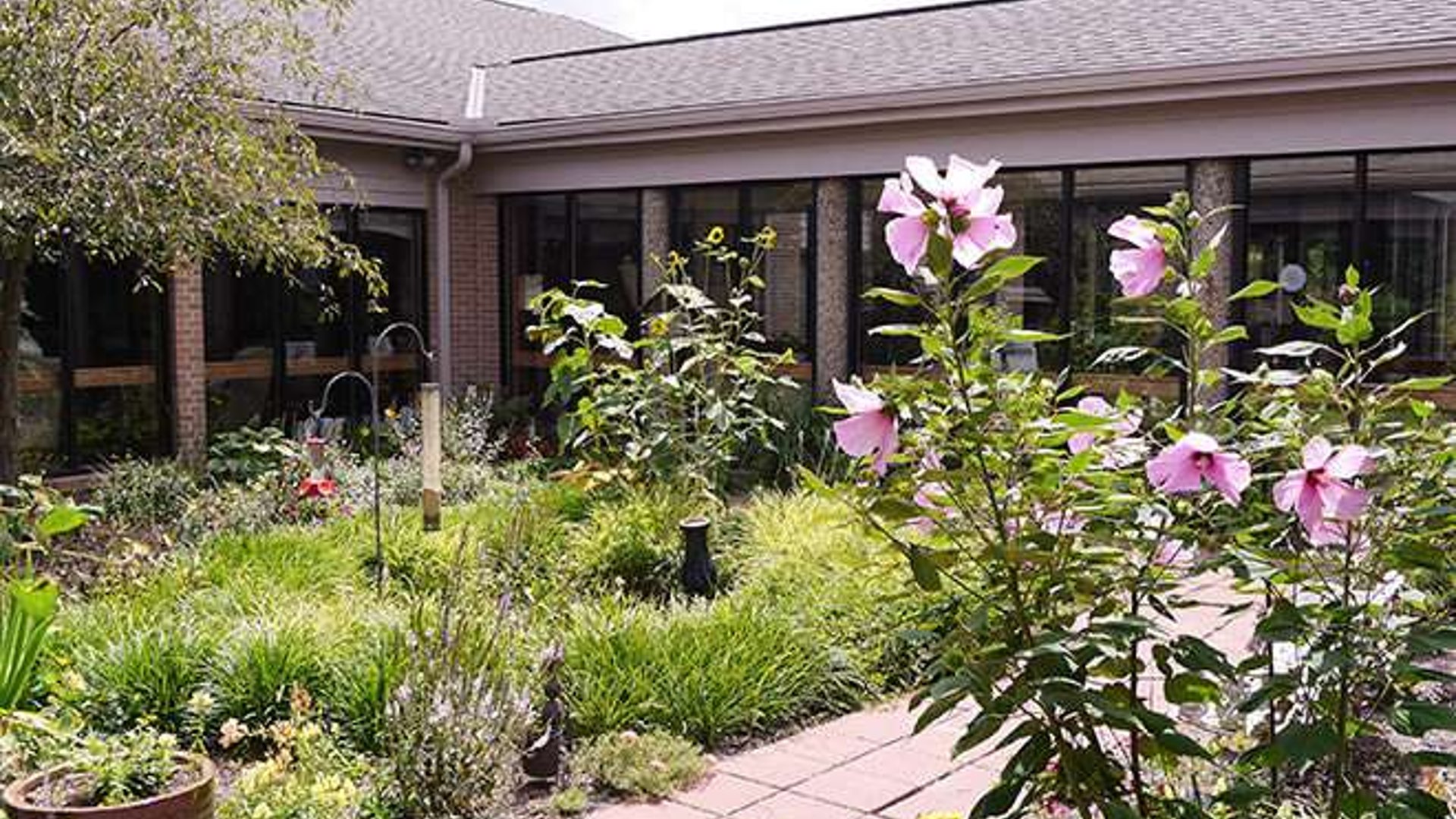 System.Collections.Generic.List`1[AFS.Common.Models.Photo] - Image 1