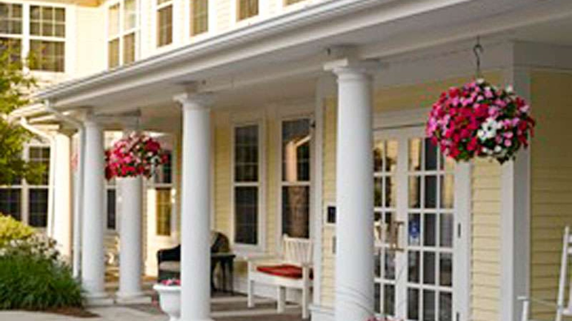 System.Collections.Generic.List`1[AFS.Common.Models.Photo] - Image 2