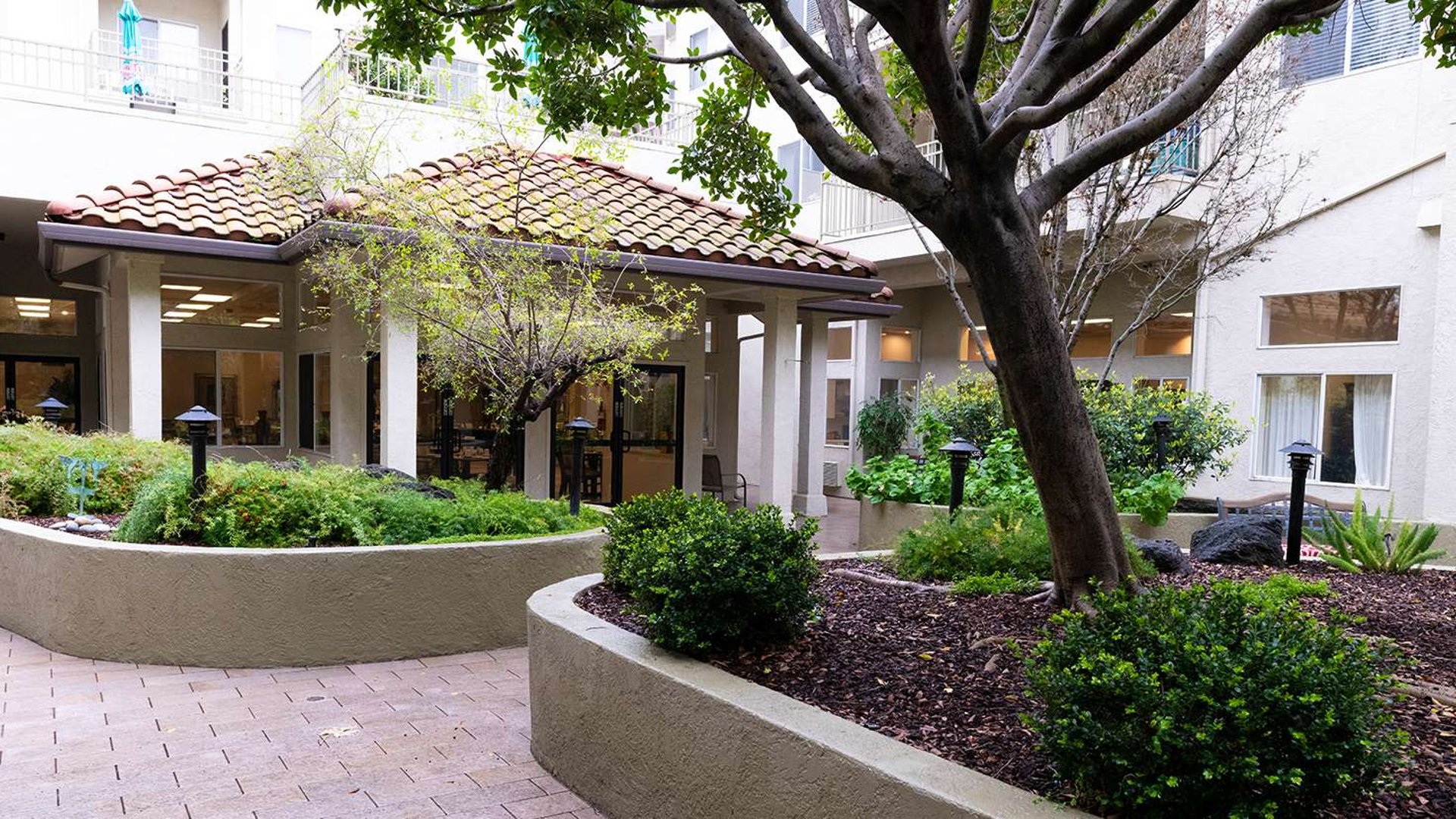 System.Collections.Generic.List`1[AFS.Common.Models.Photo] - Image 6