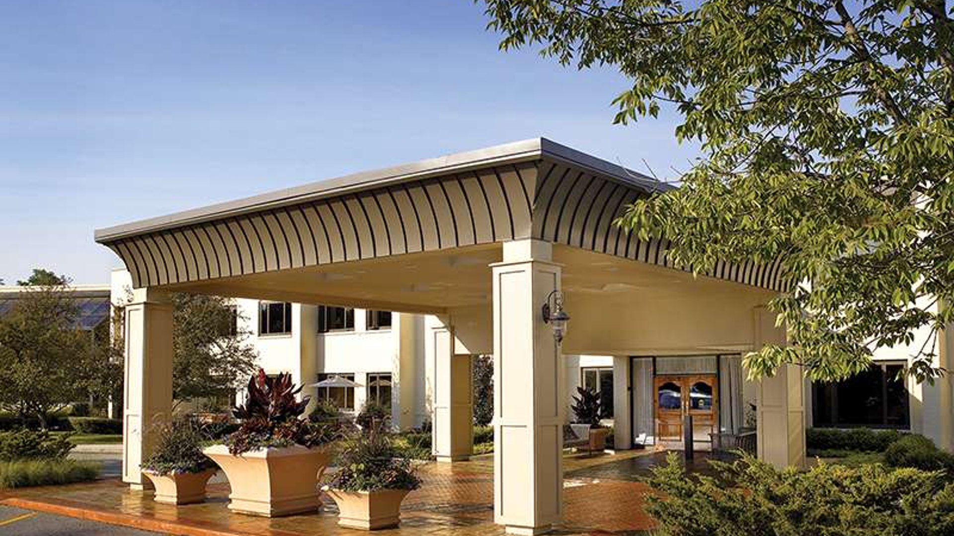 System.Collections.Generic.List`1[AFS.Common.Models.Photo] - Image 1