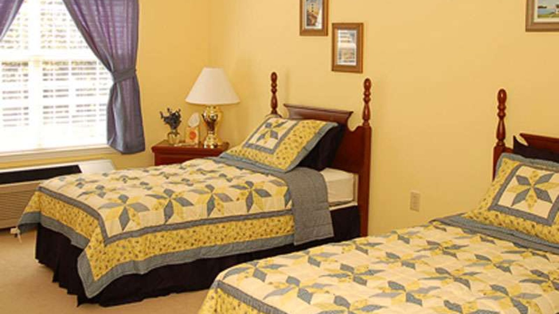 System.Collections.Generic.List`1[AFS.Common.Models.Photo] - Image 2