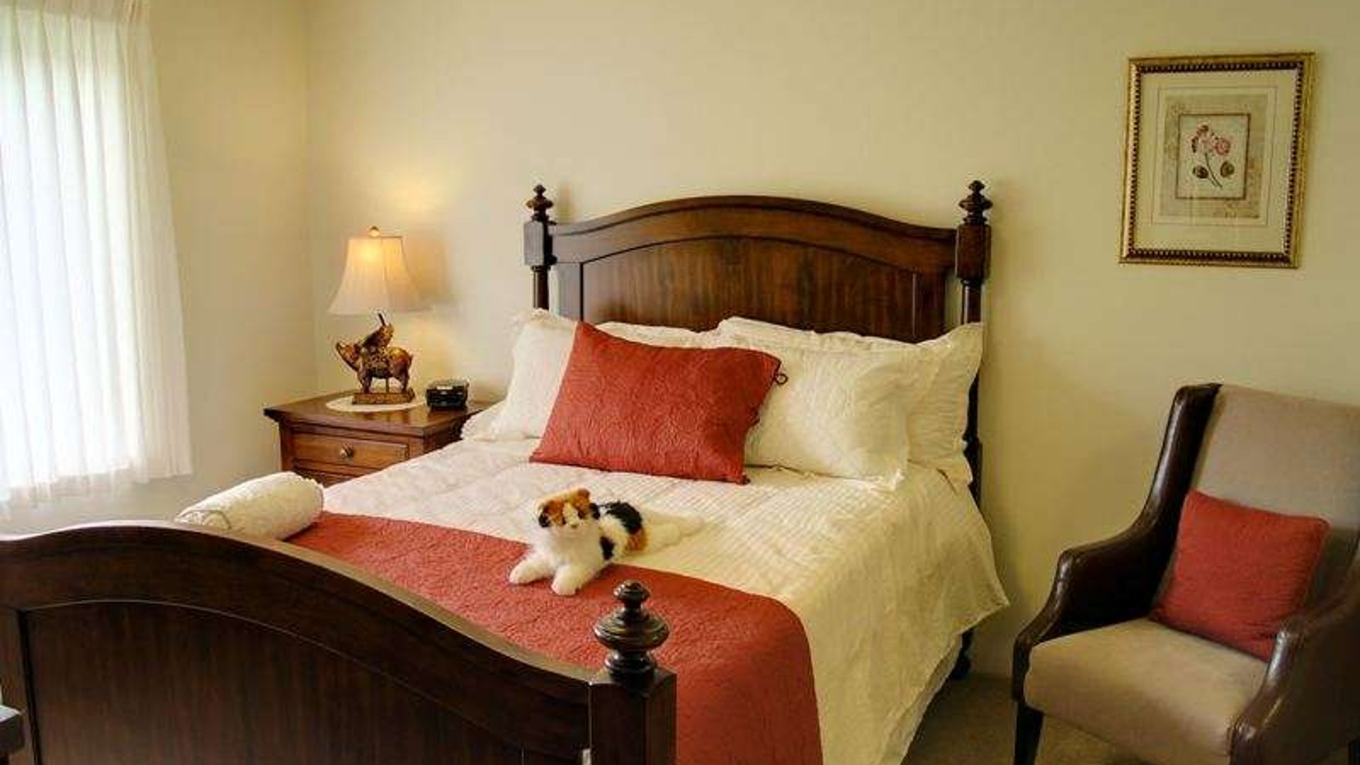 System.Collections.Generic.List`1[AFS.Common.Models.Photo] - Image 5