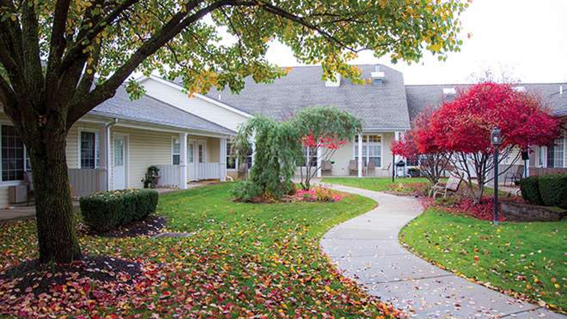 System.Collections.Generic.List`1[AFS.Common.Models.Photo] - Image 4