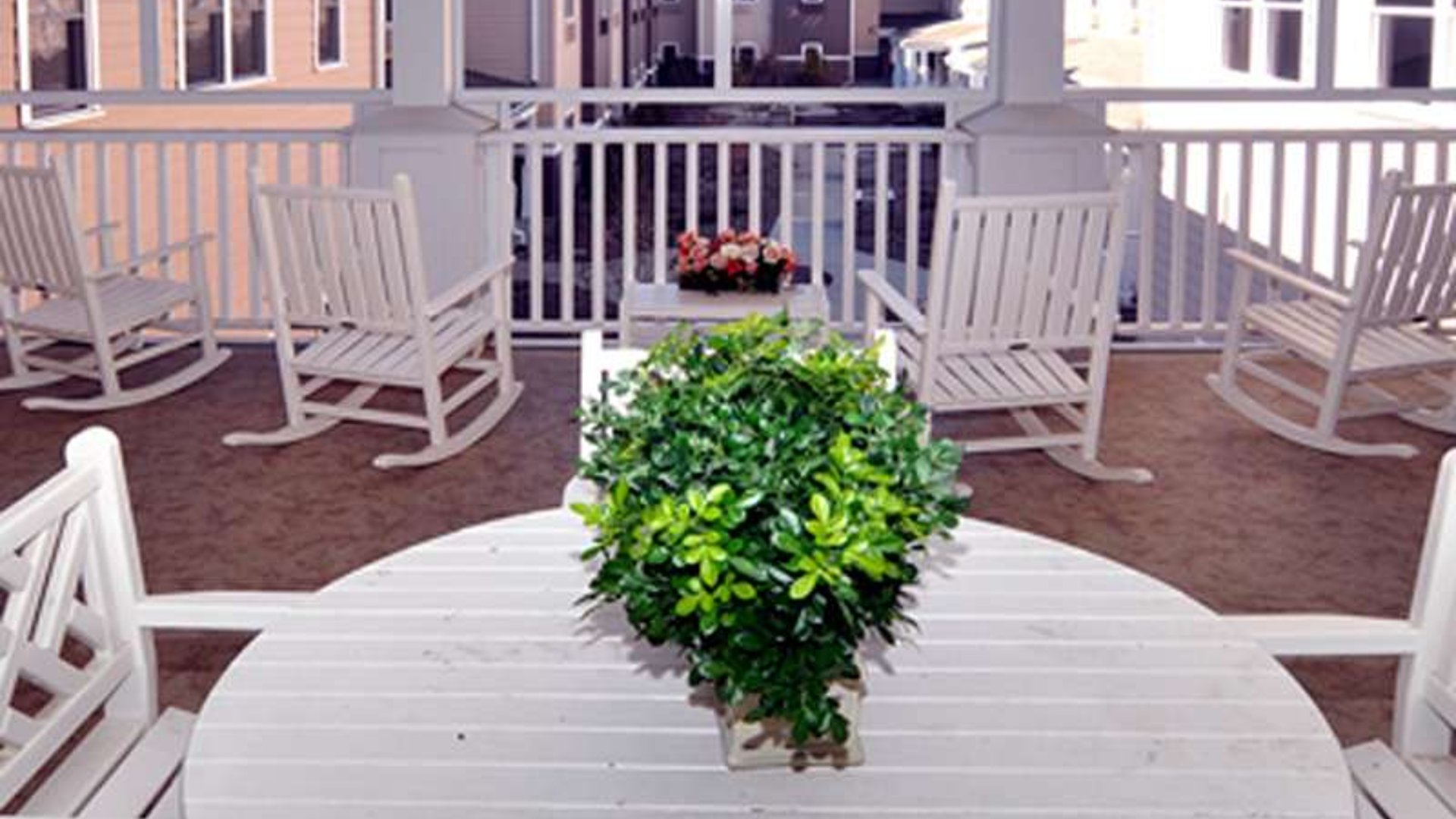 System.Collections.Generic.List`1[AFS.Common.Models.Photo] - Image 3