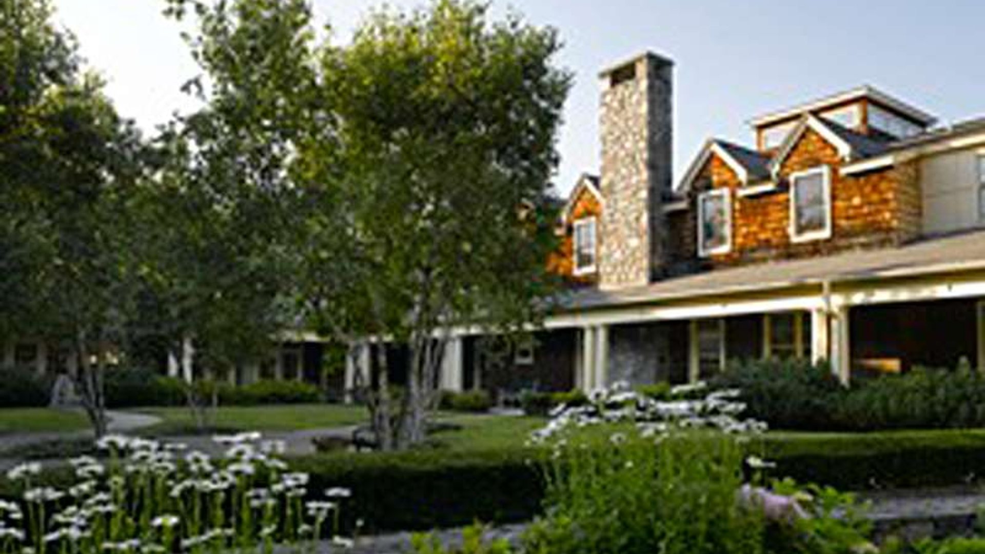 System.Collections.Generic.List`1[AFS.Common.Models.Photo] - Image 2