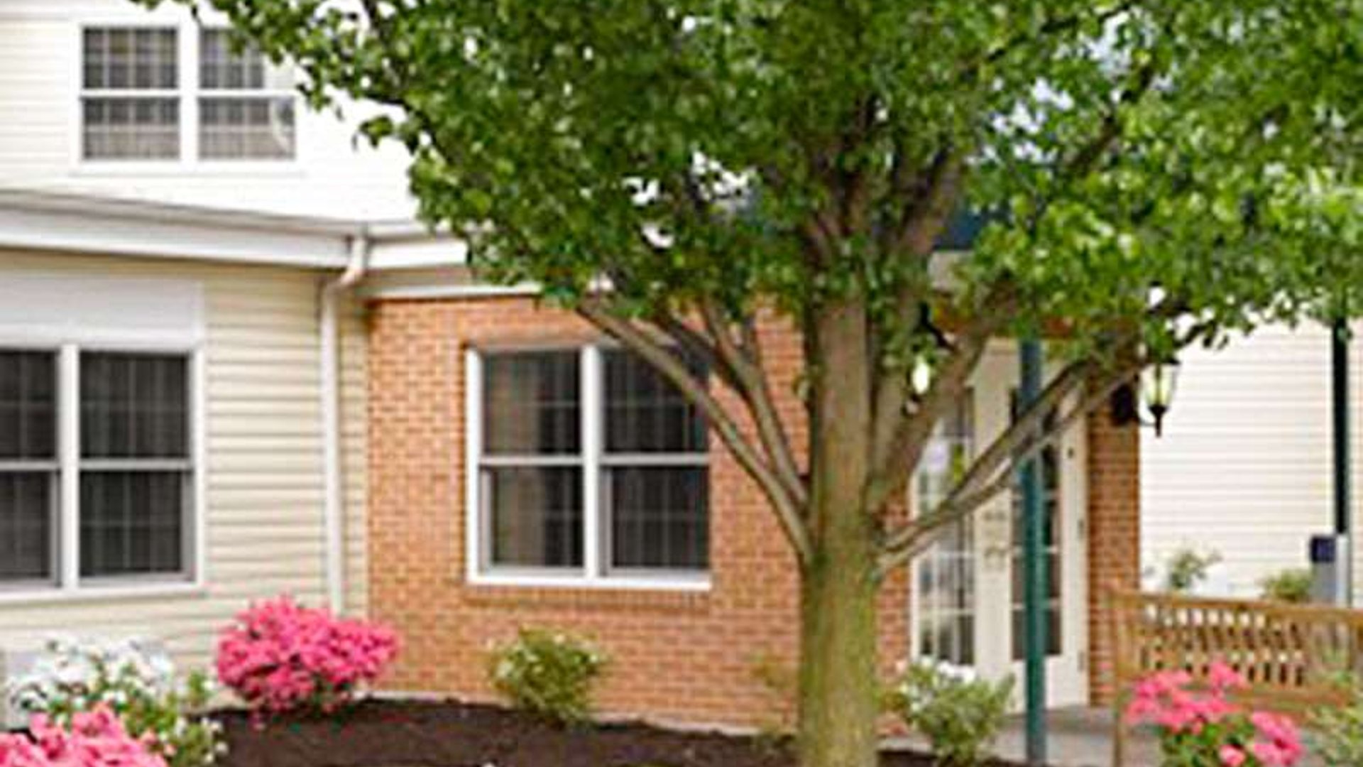 System.Collections.Generic.List`1[AFS.Common.Models.Photo] - Image 2