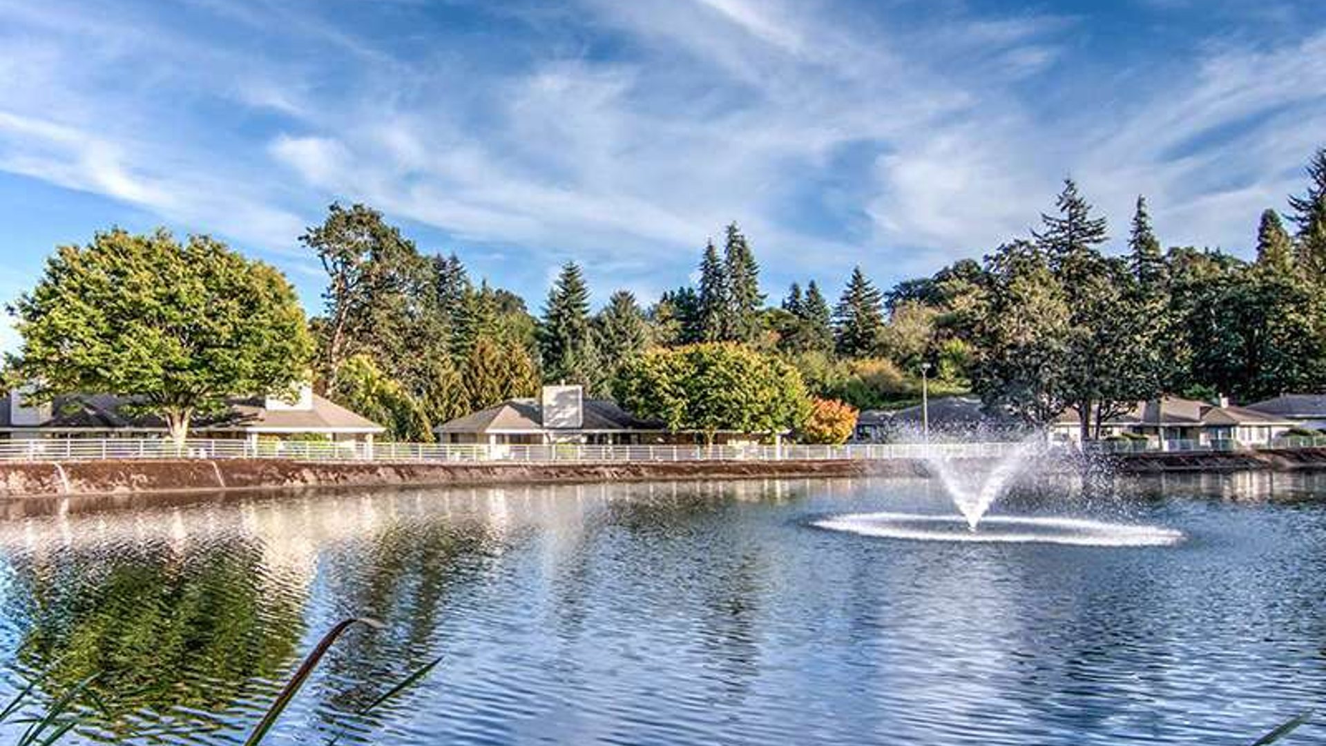 System.Collections.Generic.List`1[AFS.Common.Models.Photo] - Image 1