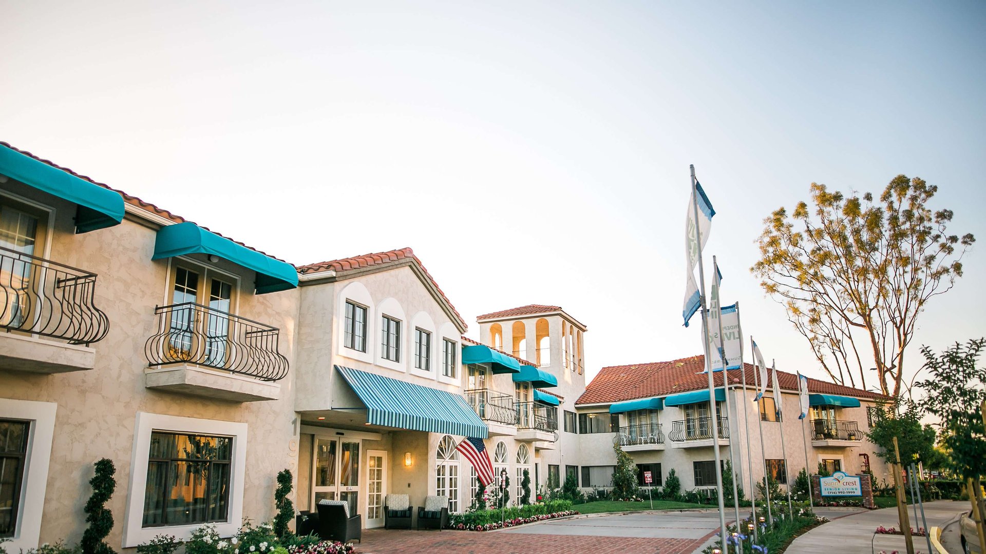 System.Collections.Generic.List`1[AFS.Common.Models.Photo] - Image 1