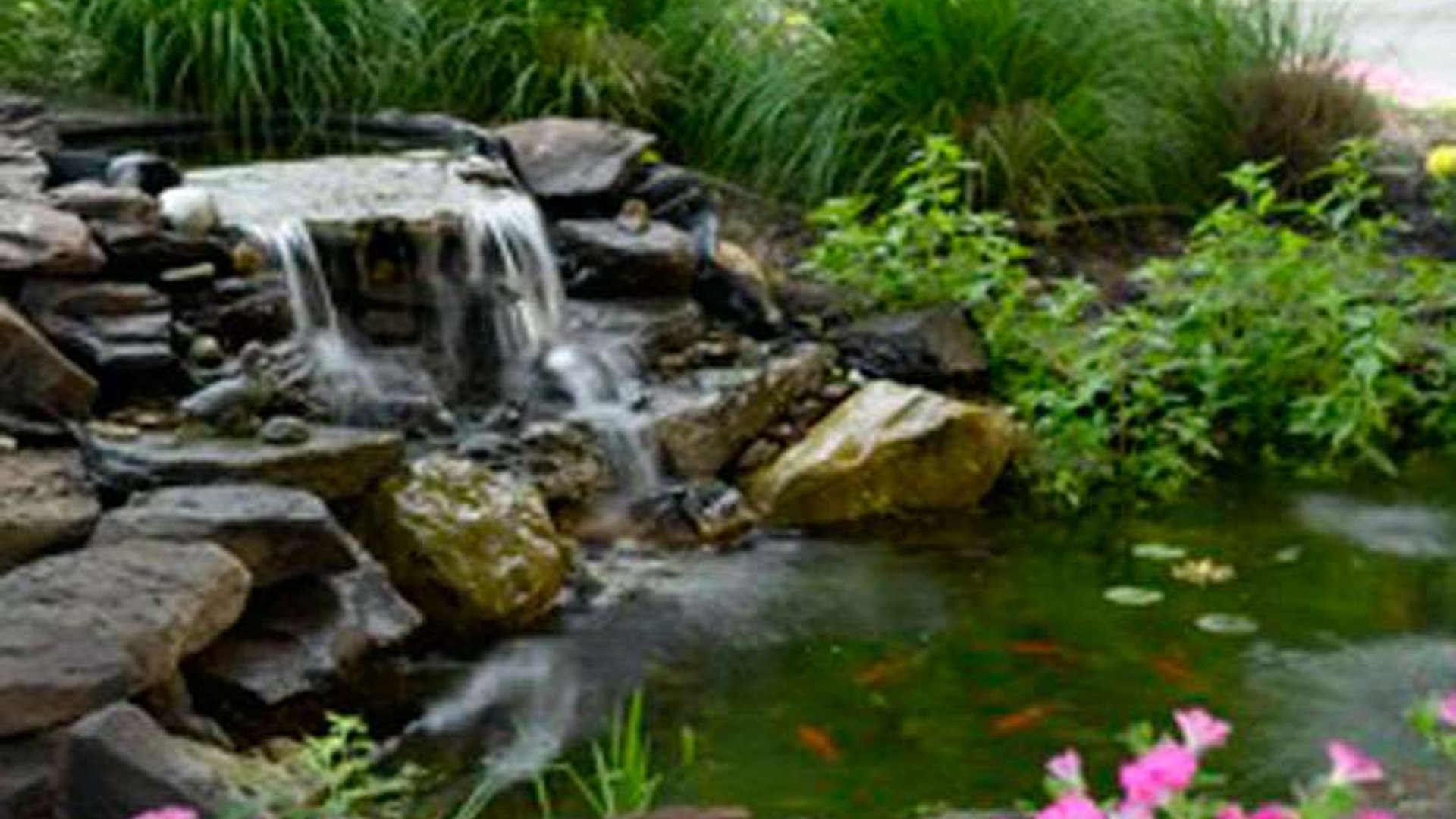 System.Collections.Generic.List`1[AFS.Common.Models.Photo] - Image 2