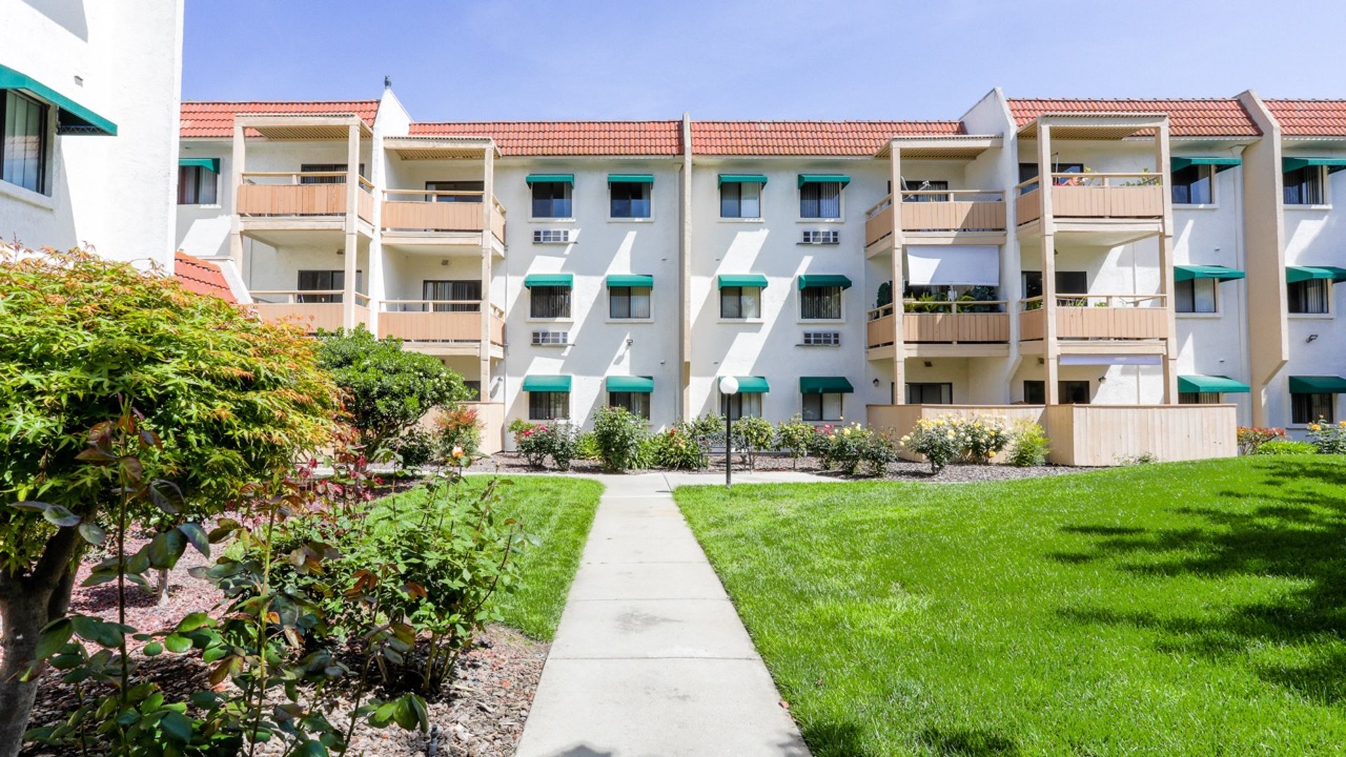 System.Collections.Generic.List`1[AFS.Common.Models.Photo] - Image 1