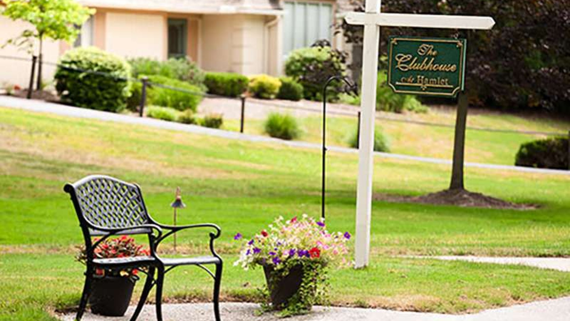 System.Collections.Generic.List`1[AFS.Common.Models.Photo] - Image 1