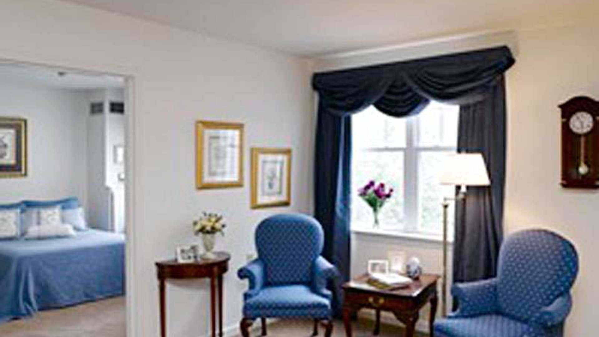 System.Collections.Generic.List`1[AFS.Common.Models.Photo] - Image 8