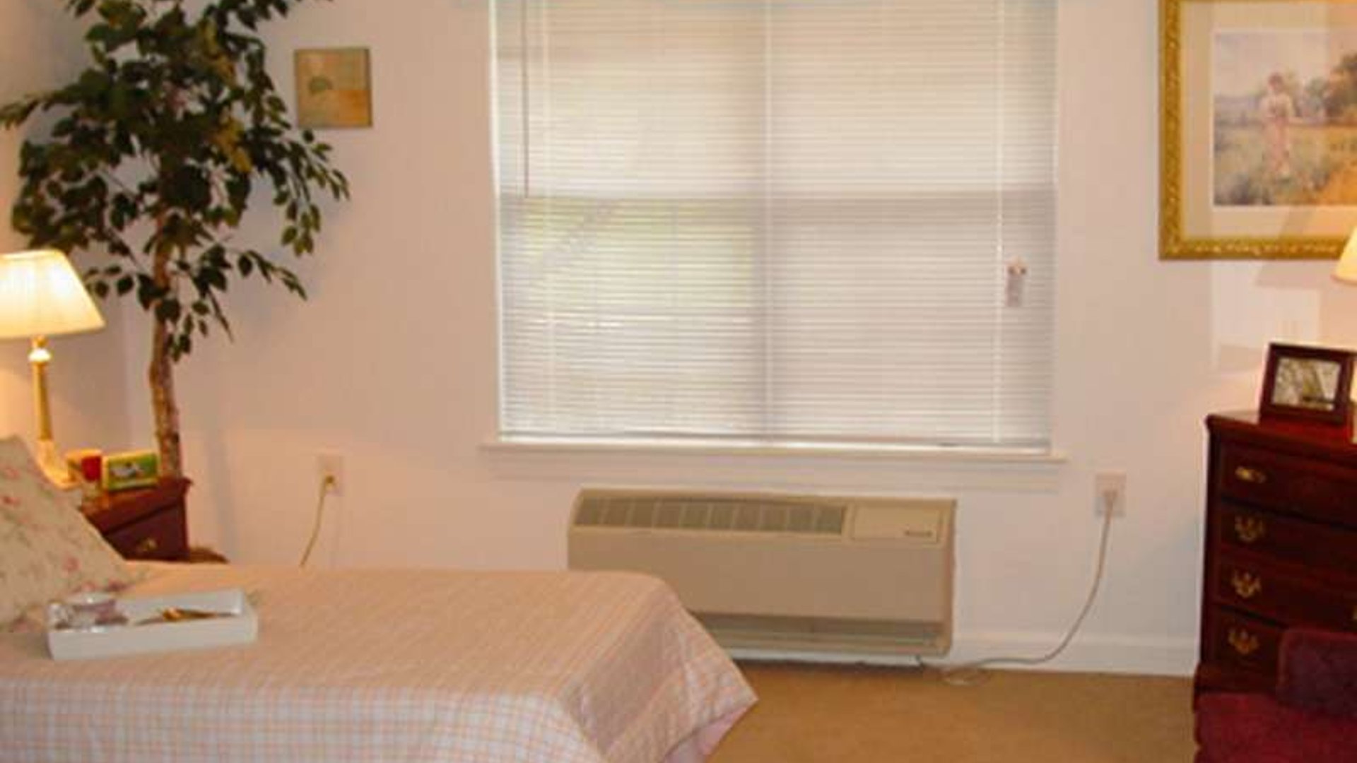 System.Collections.Generic.List`1[AFS.Common.Models.Photo] - Image 4