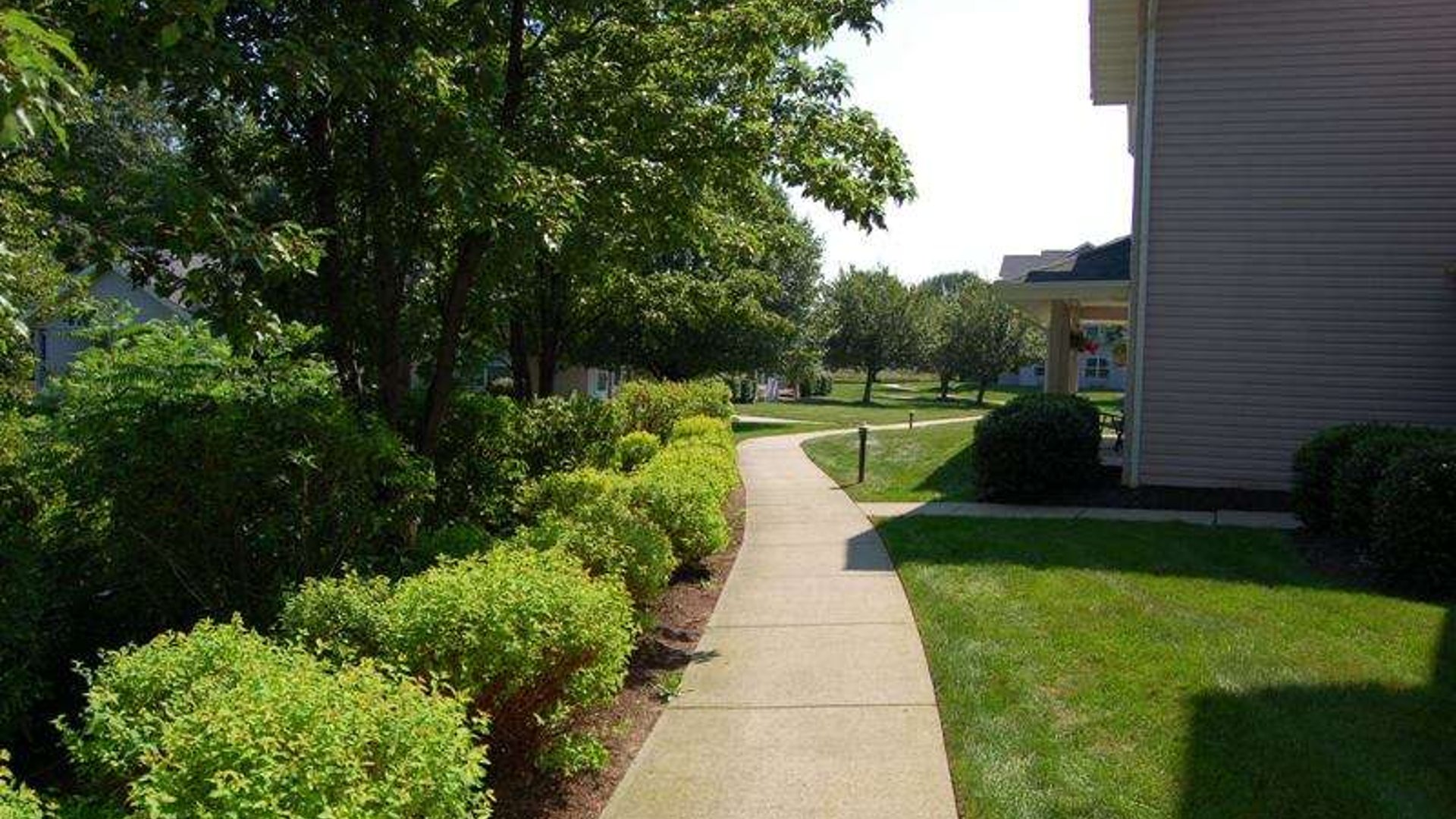 System.Collections.Generic.List`1[AFS.Common.Models.Photo] - Image 6