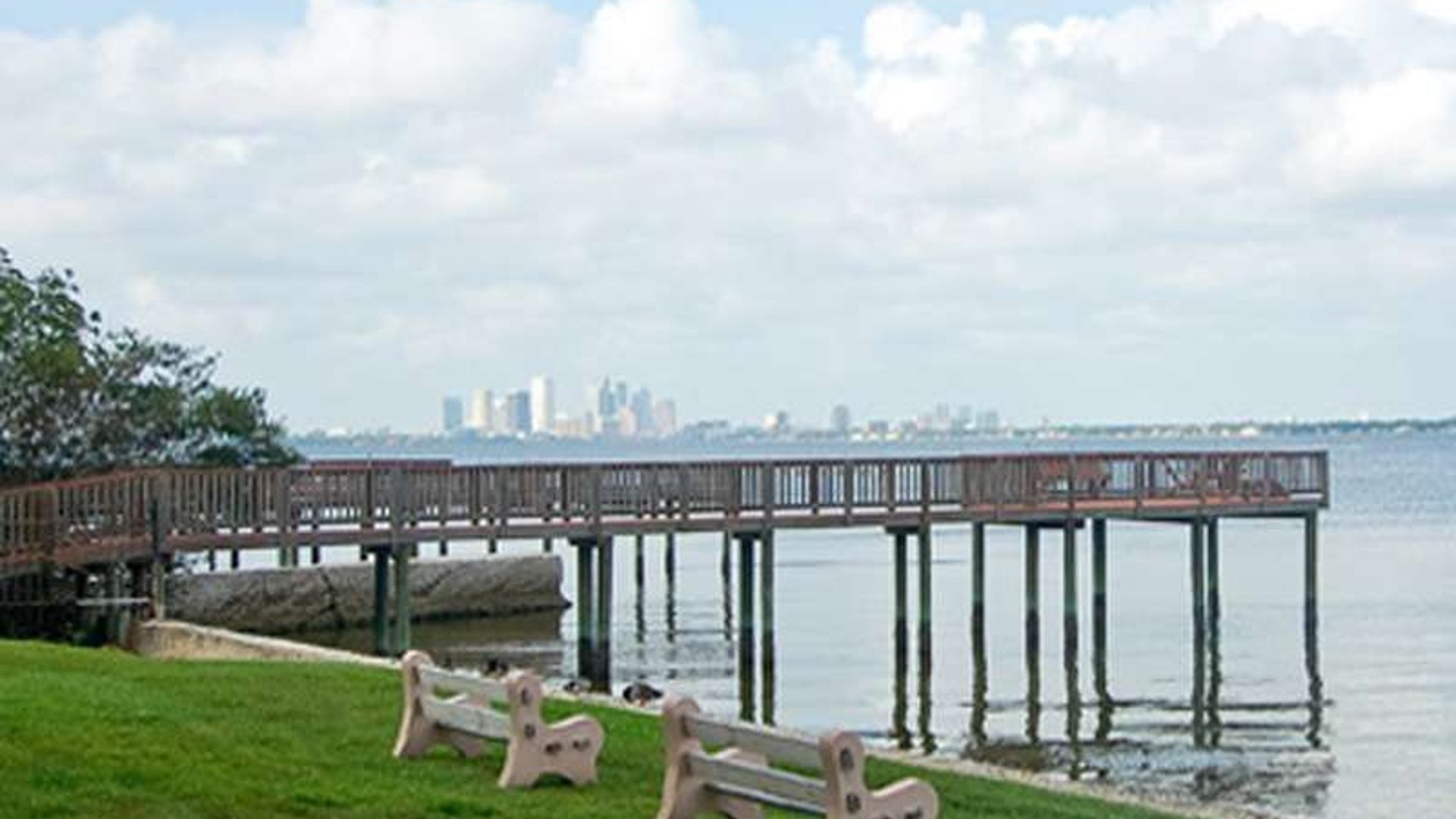 System.Collections.Generic.List`1[AFS.Common.Models.Photo] - Image 4